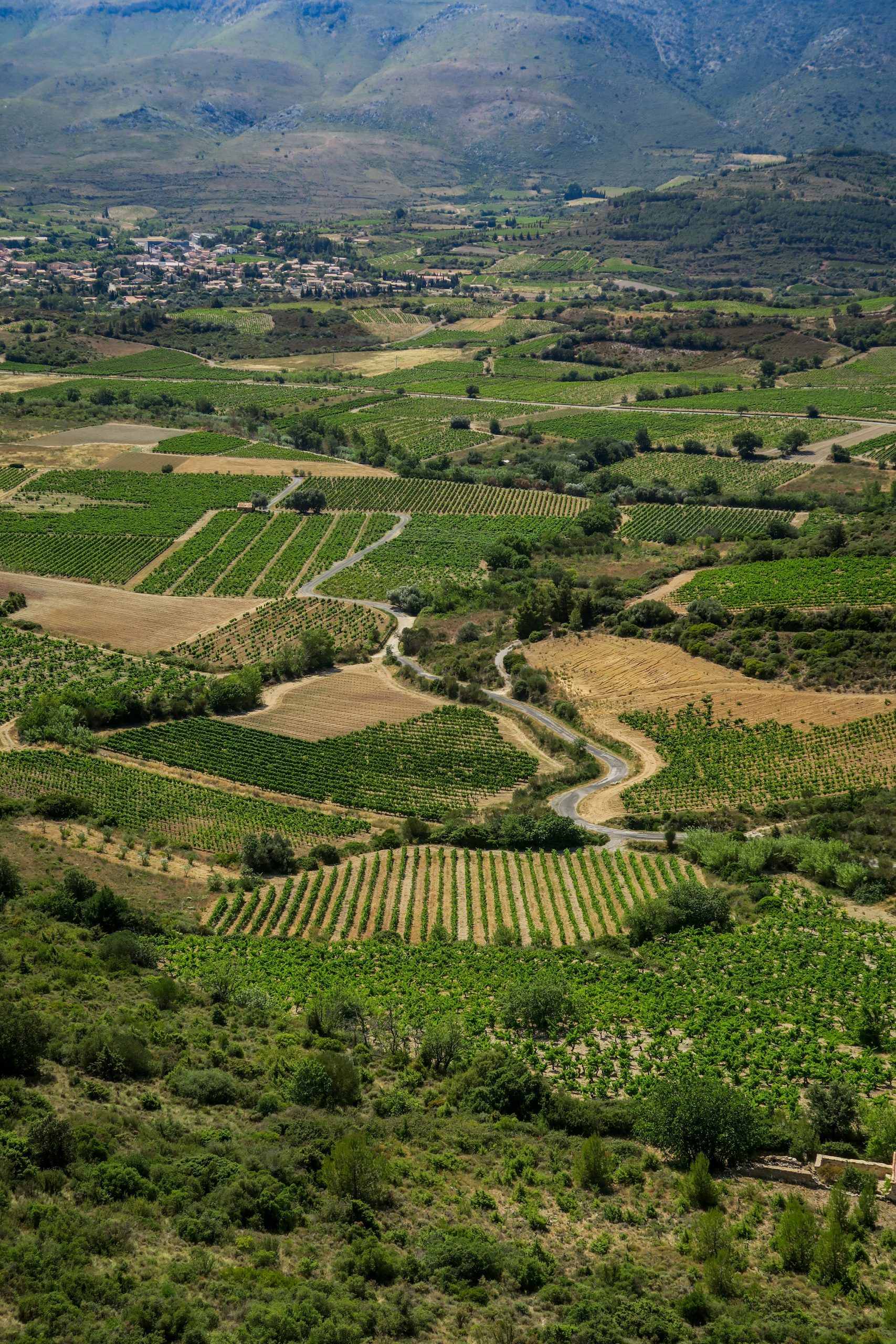 aguilar chateau pays cathare