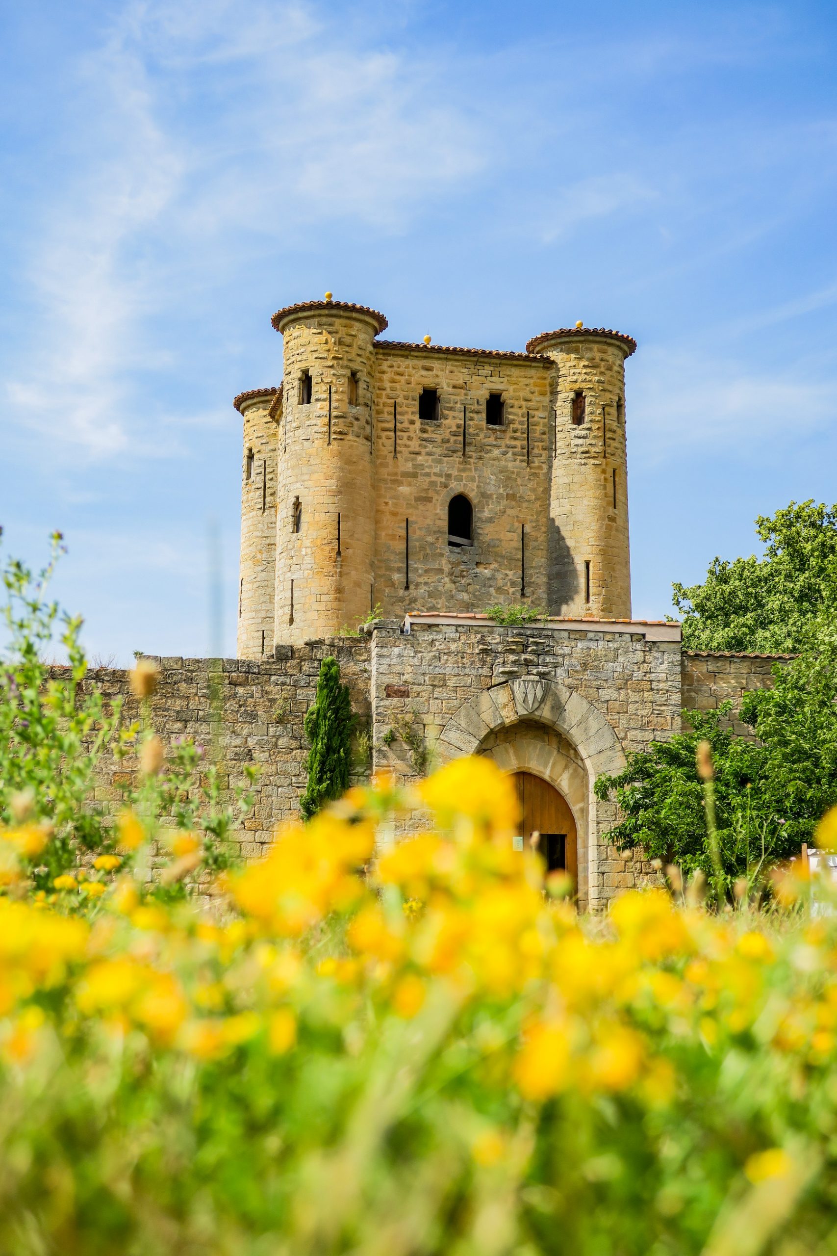 chateau arques pays cathare