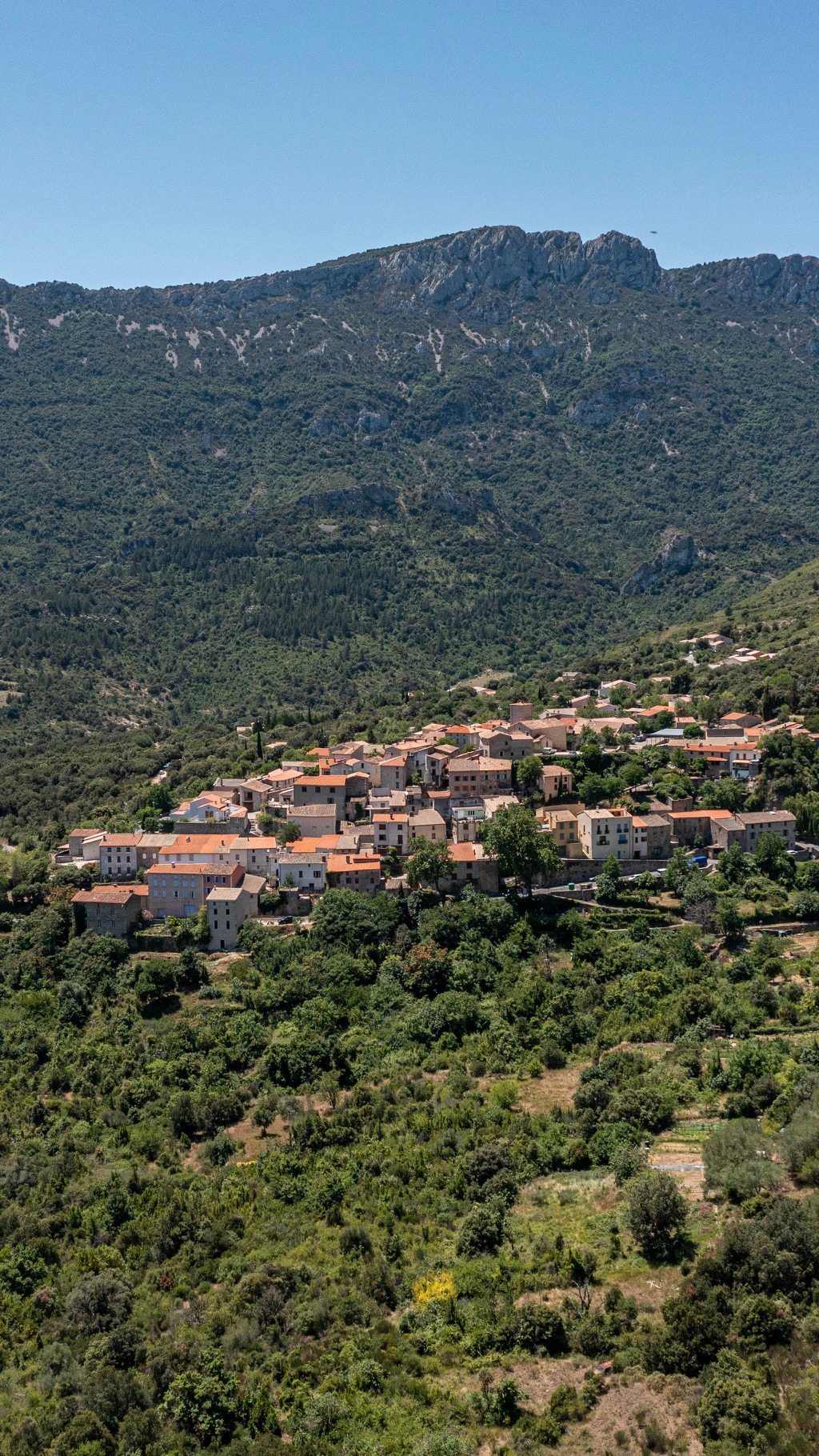 Duilhac-sous-Peyrepertuse pays cathare