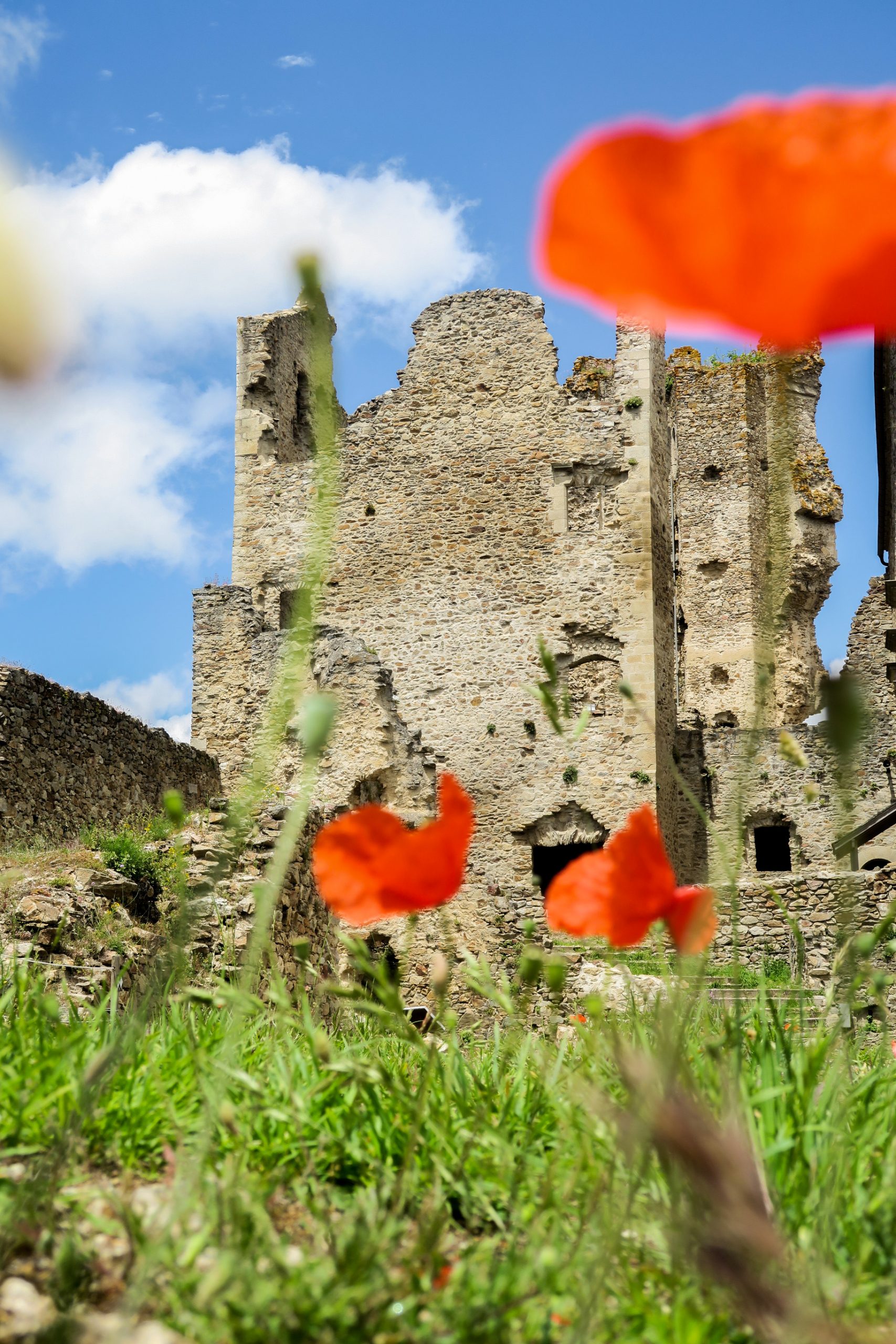 chateaux cathares saissac