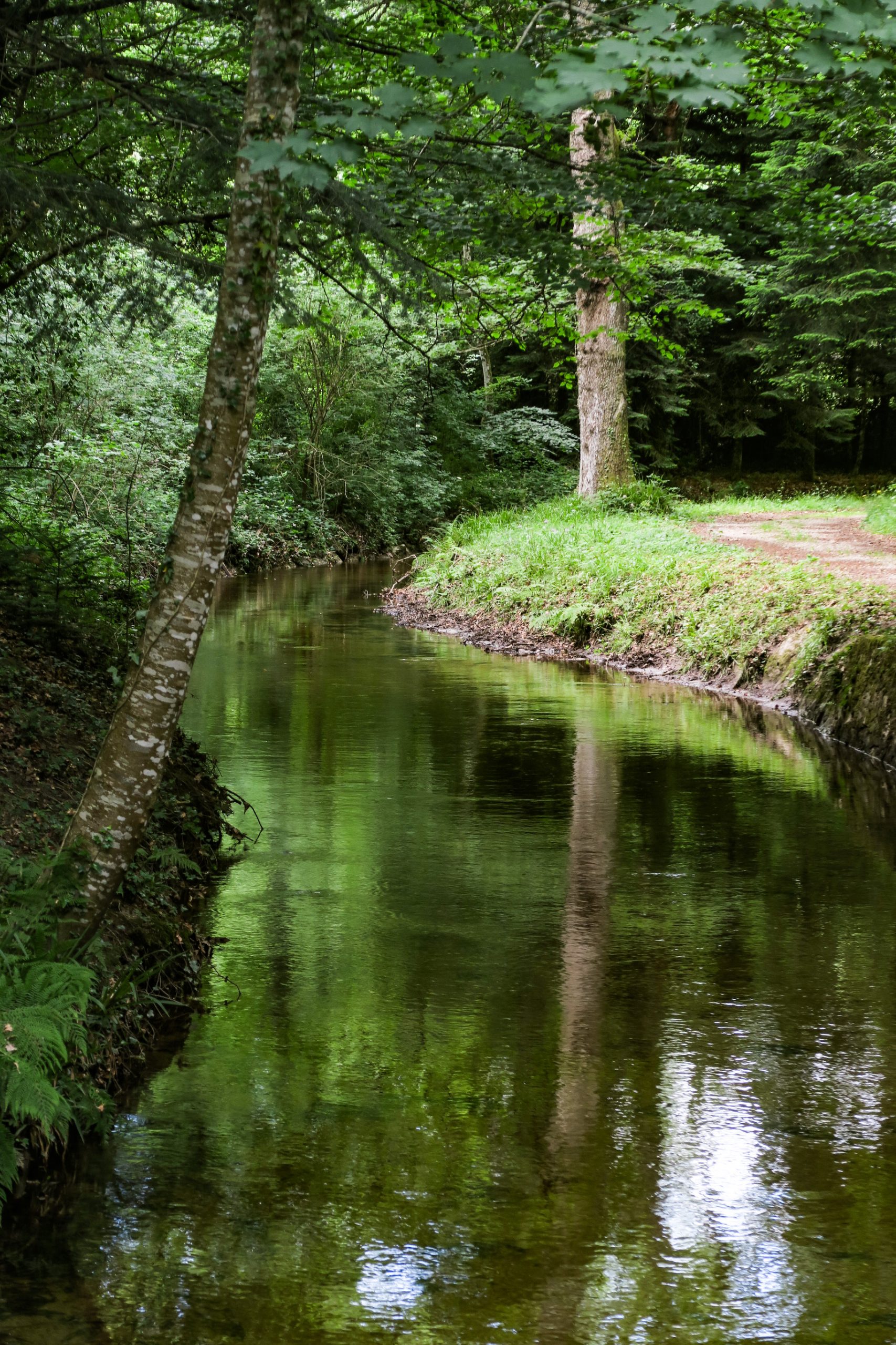 source du canal du midi pays cathare