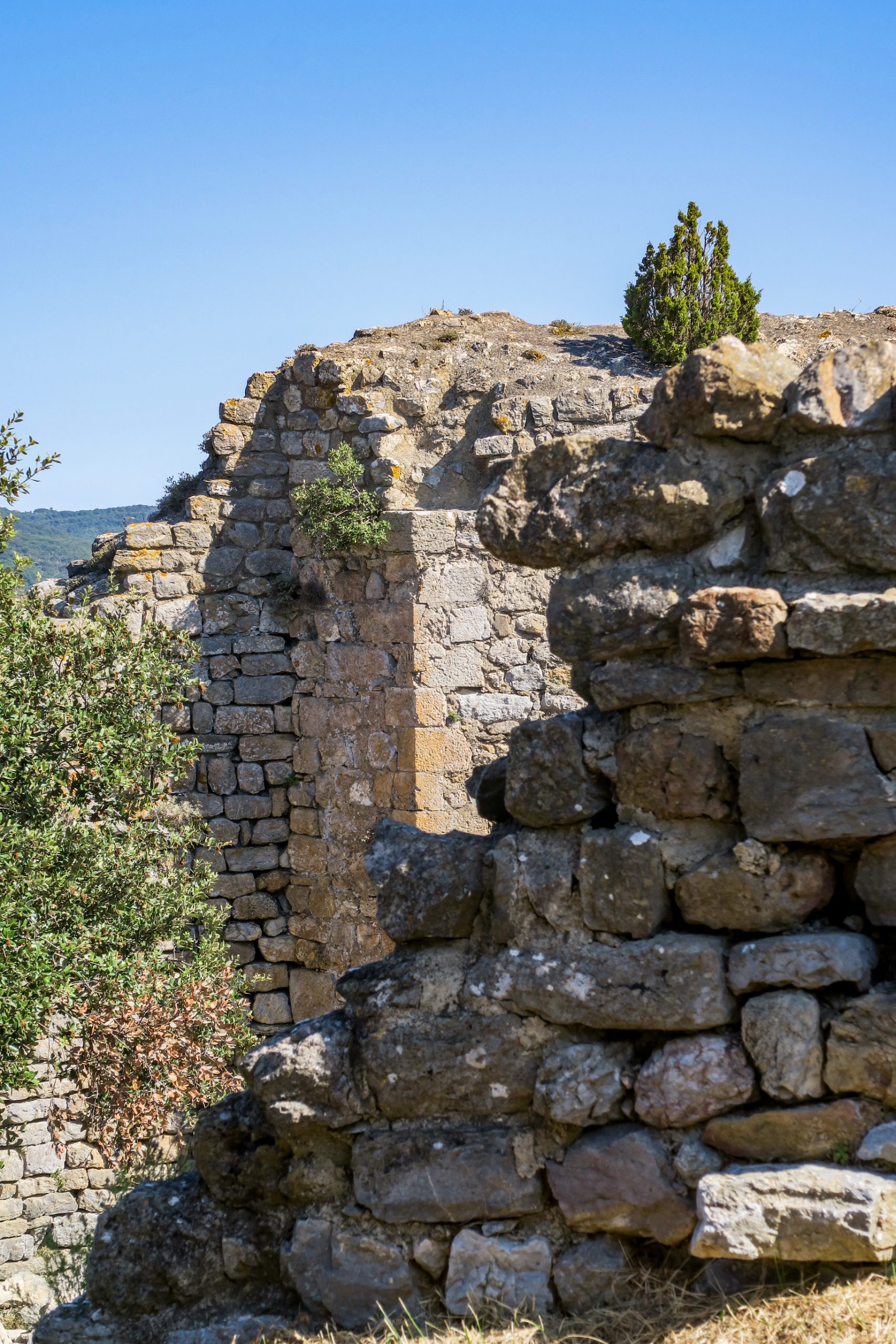 chateaux cathares termes