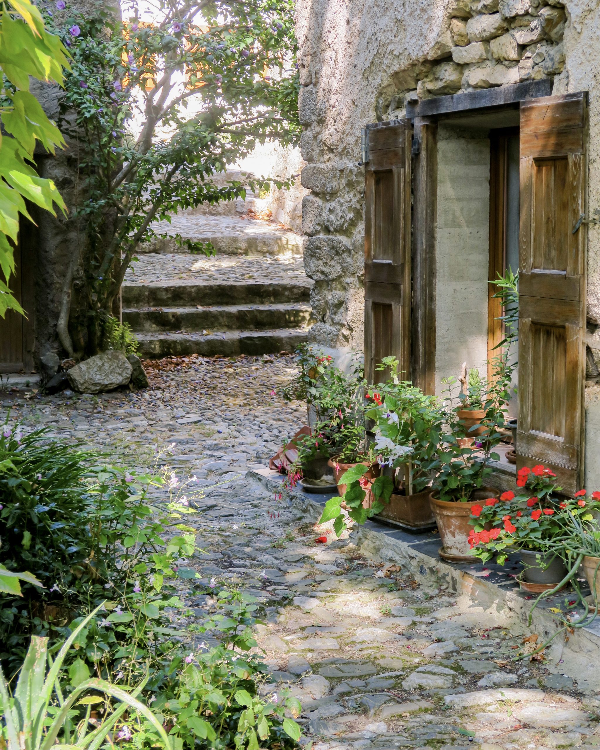 termes village pays cathare