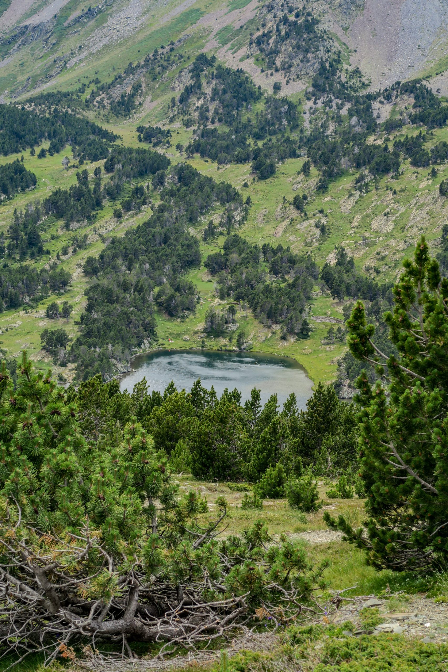 estany del mig