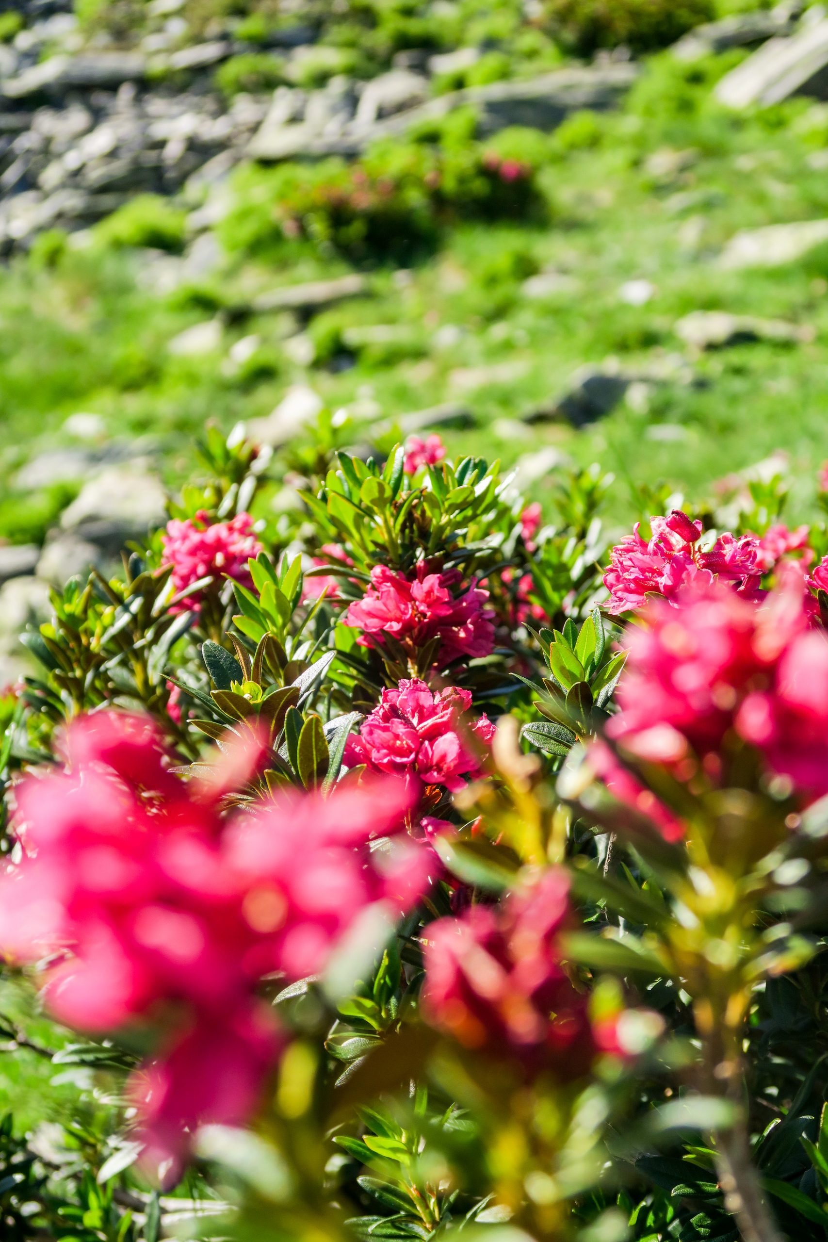 pyrénées catalanes blog kikimagtravel