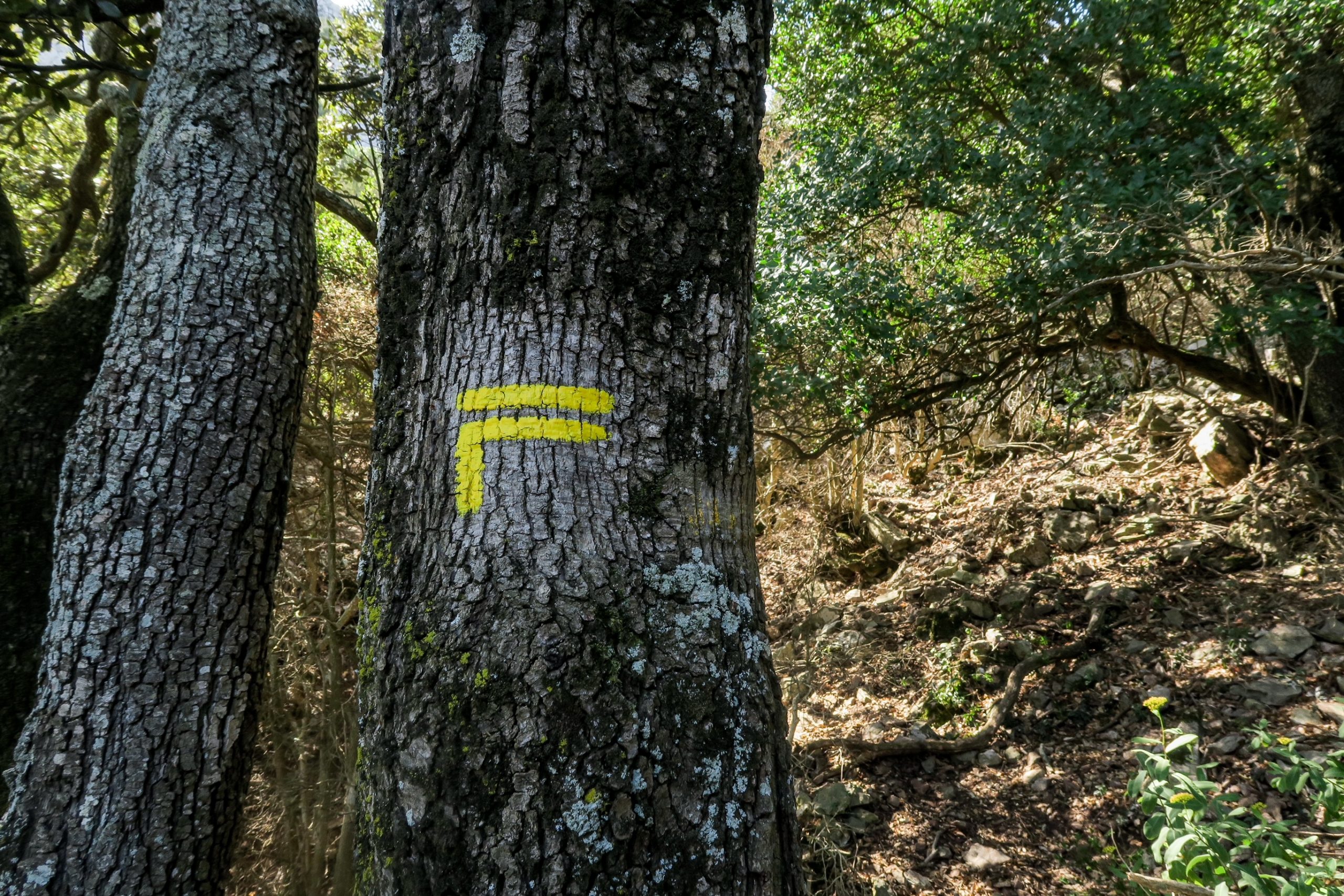 sentier de randonnée saint arnac