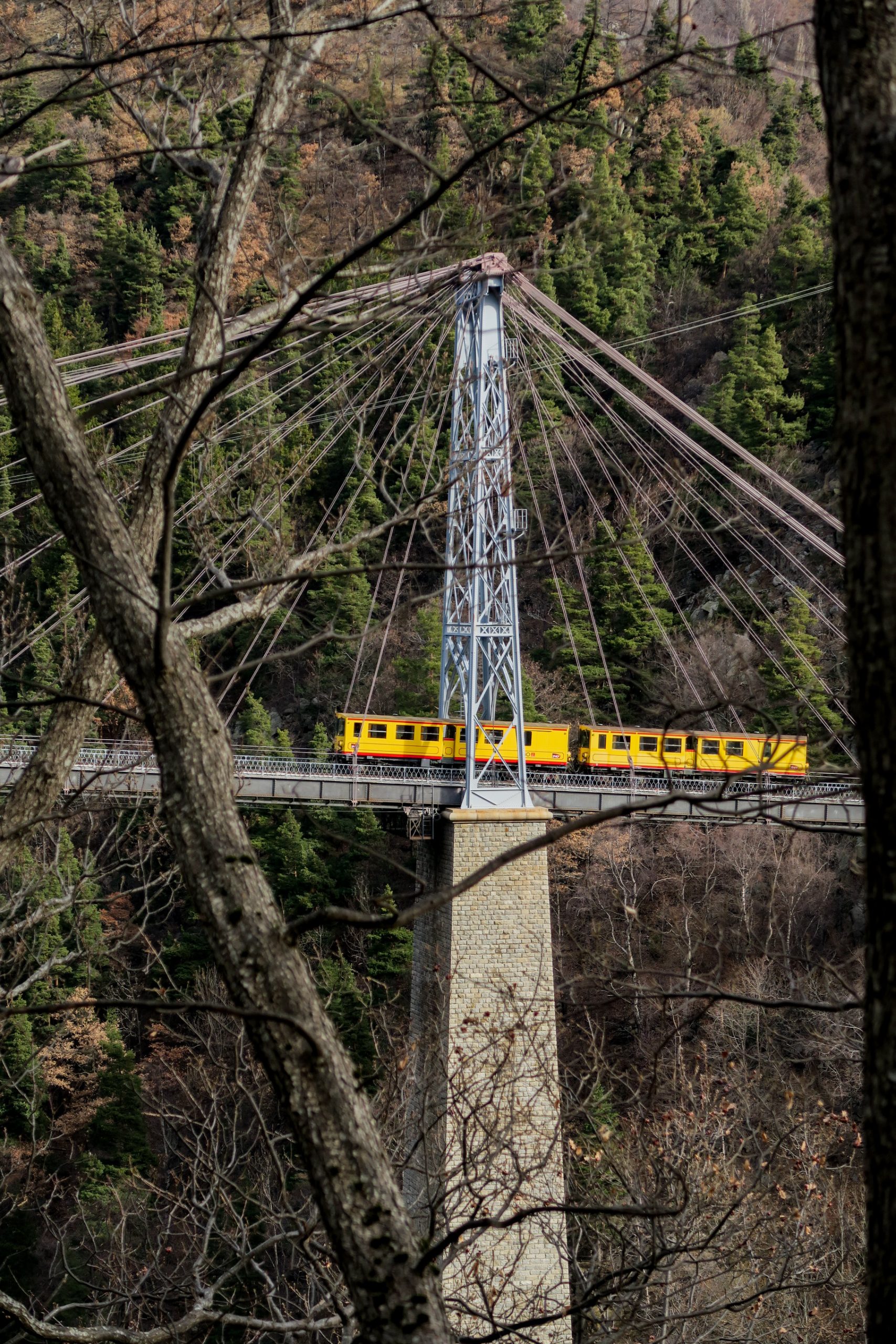 train jaune pont gisclard
