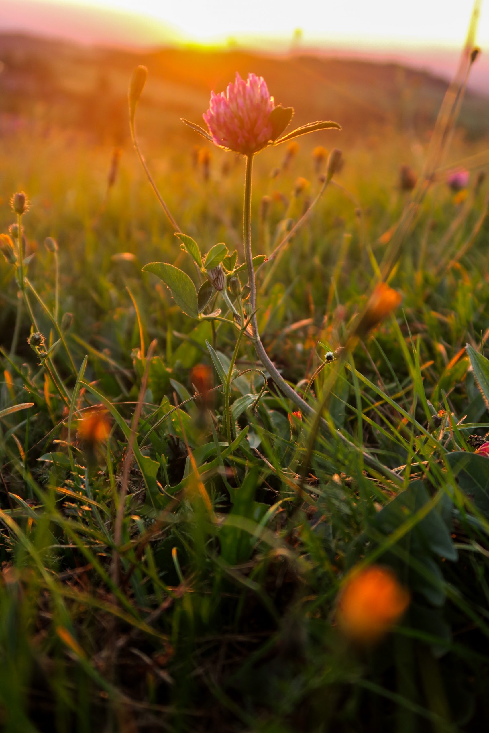 lever de soleil loire