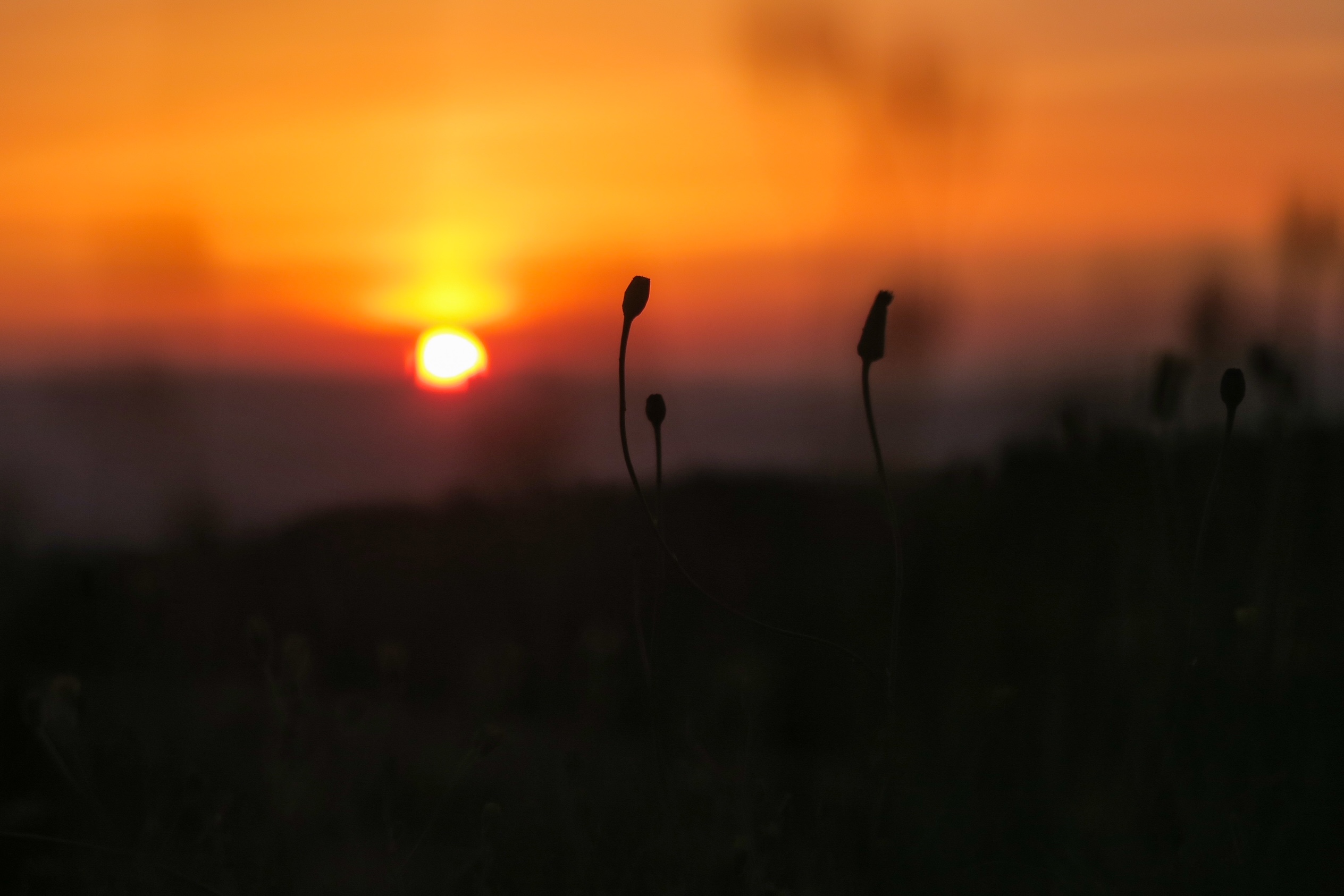 lever de soleil marols loire
