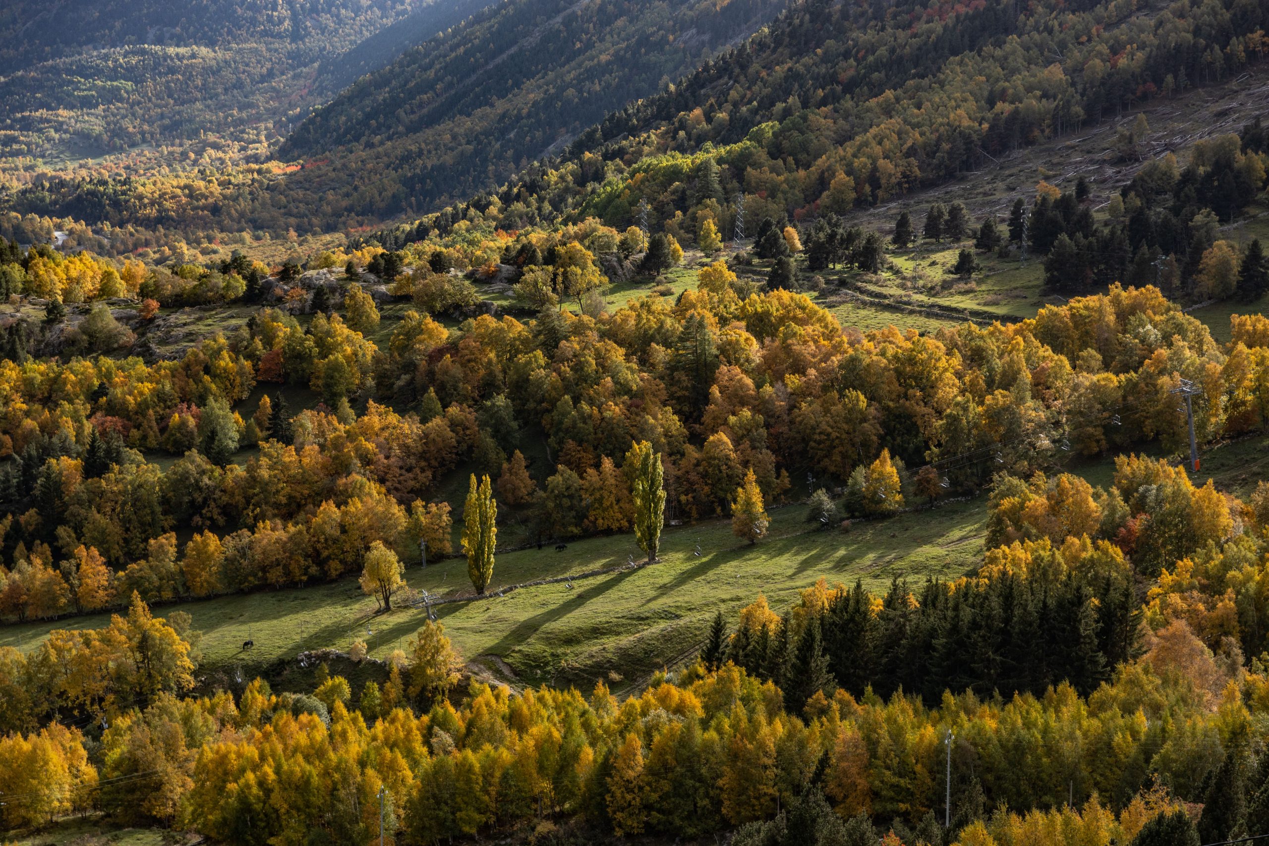 automne en pyrenees orientales