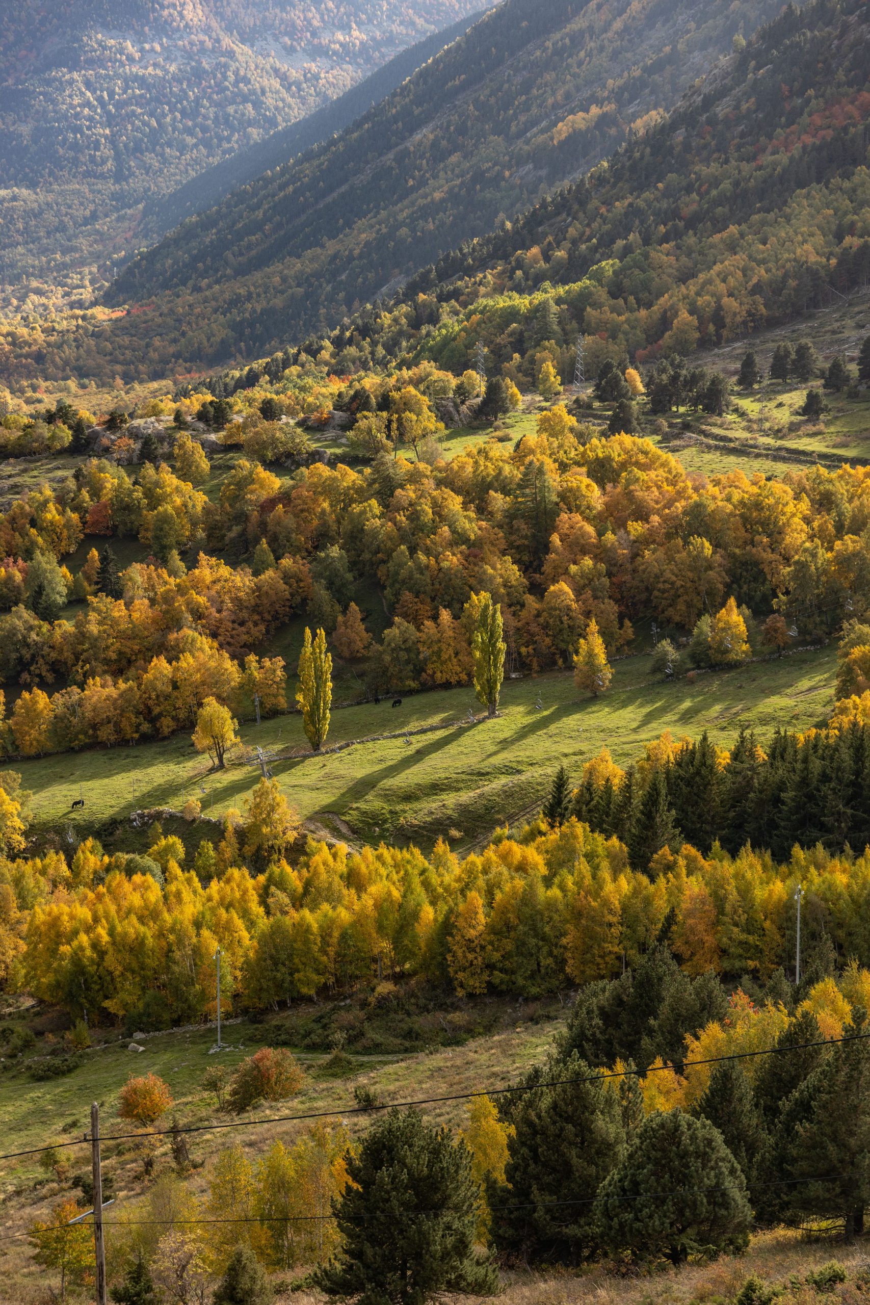 automne porte puymorens
