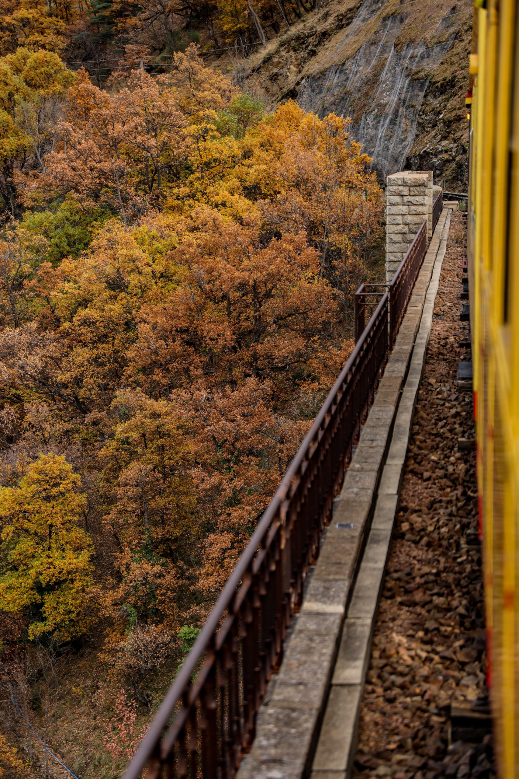 conflent train jaune
