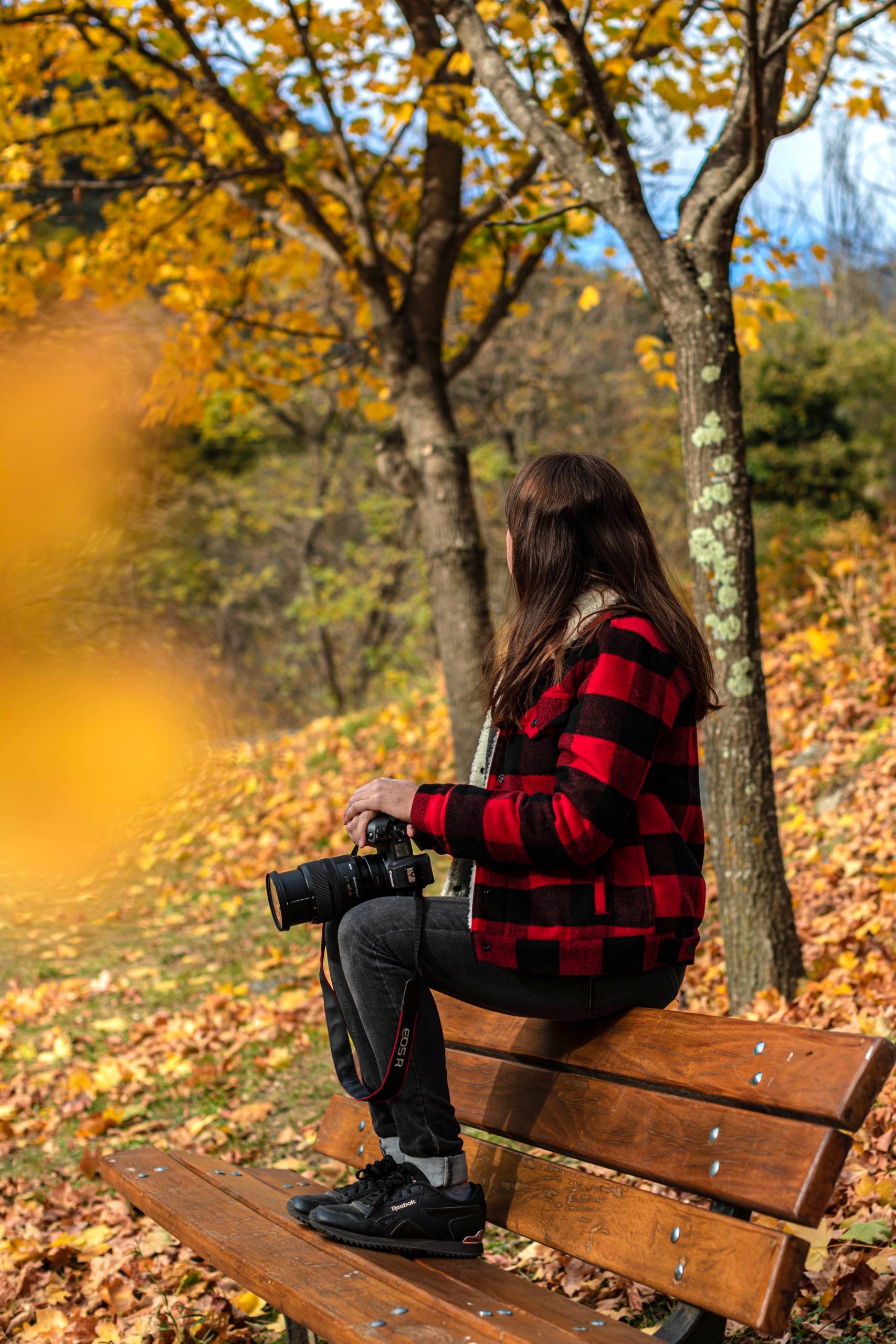 les pyrenees orientales en automne