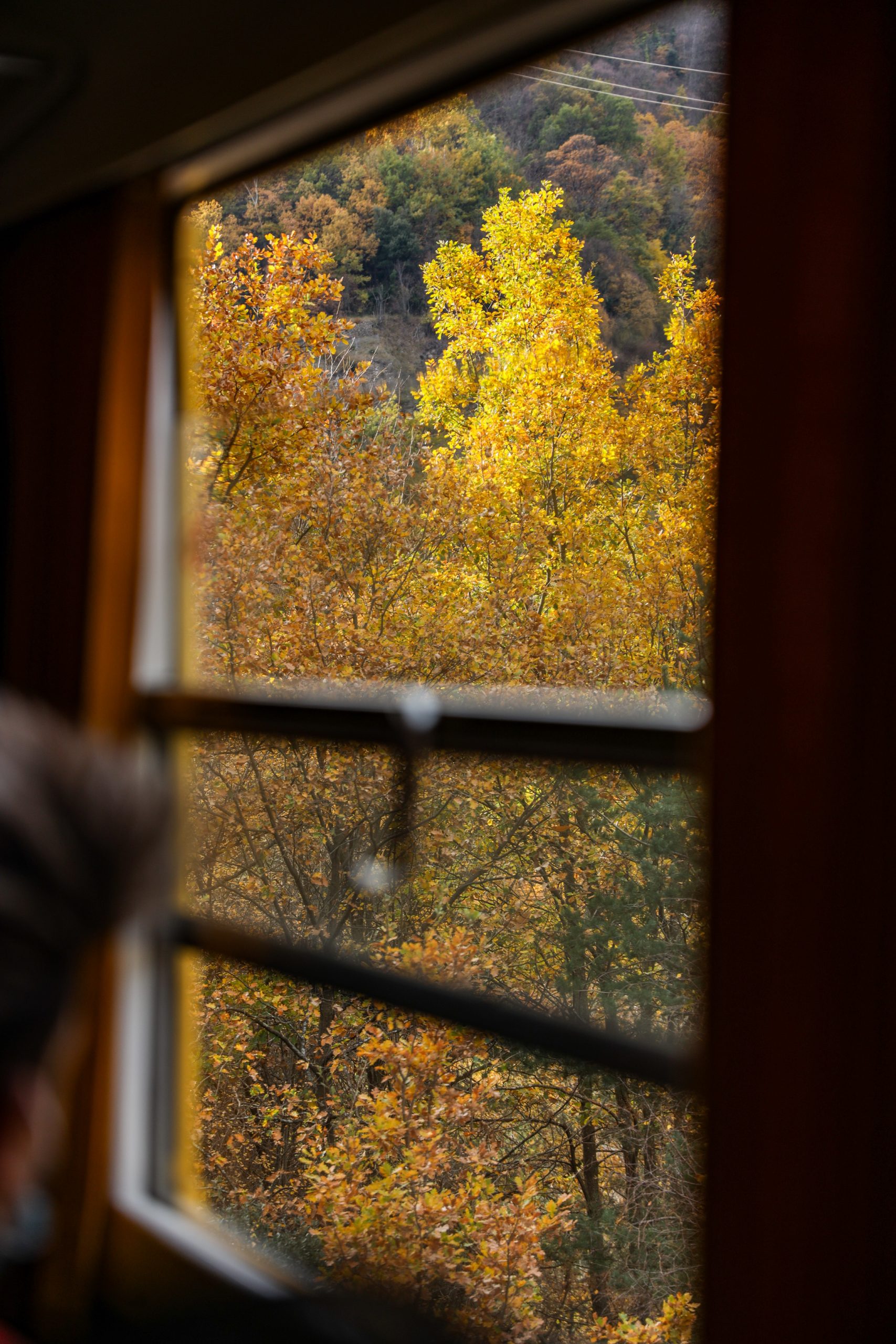 train jaune des pyrenees orientales en automne
