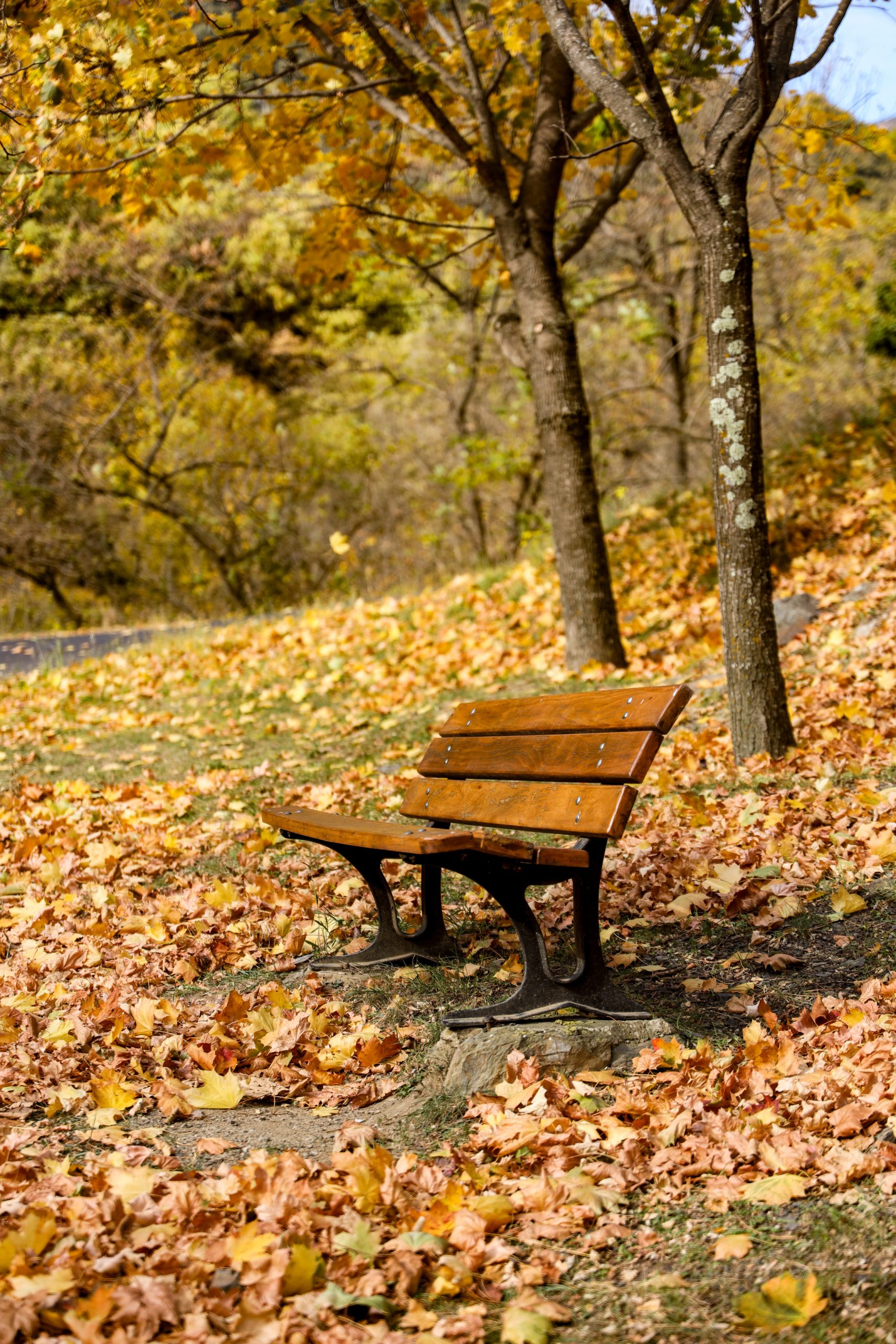 un automne en pyrenees orientales