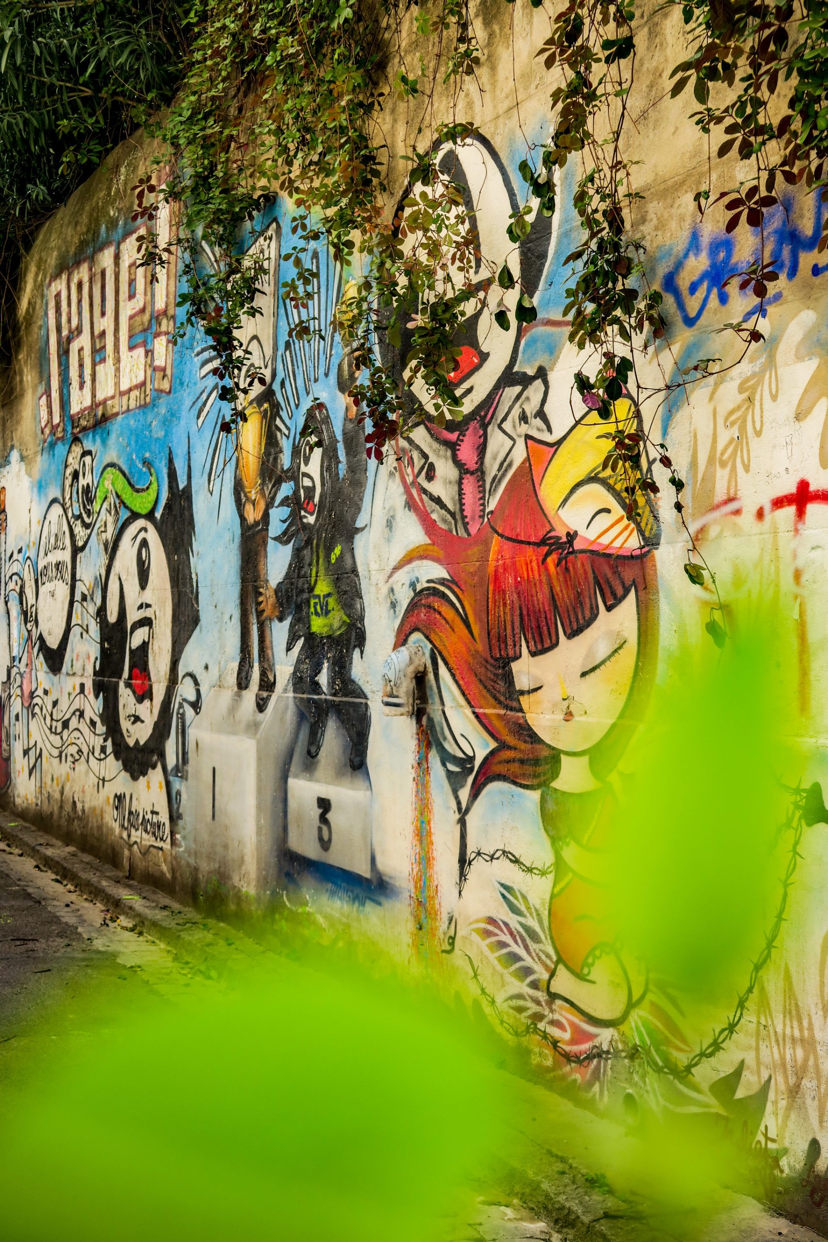 Rue du Figuier Perpignan Street Art
