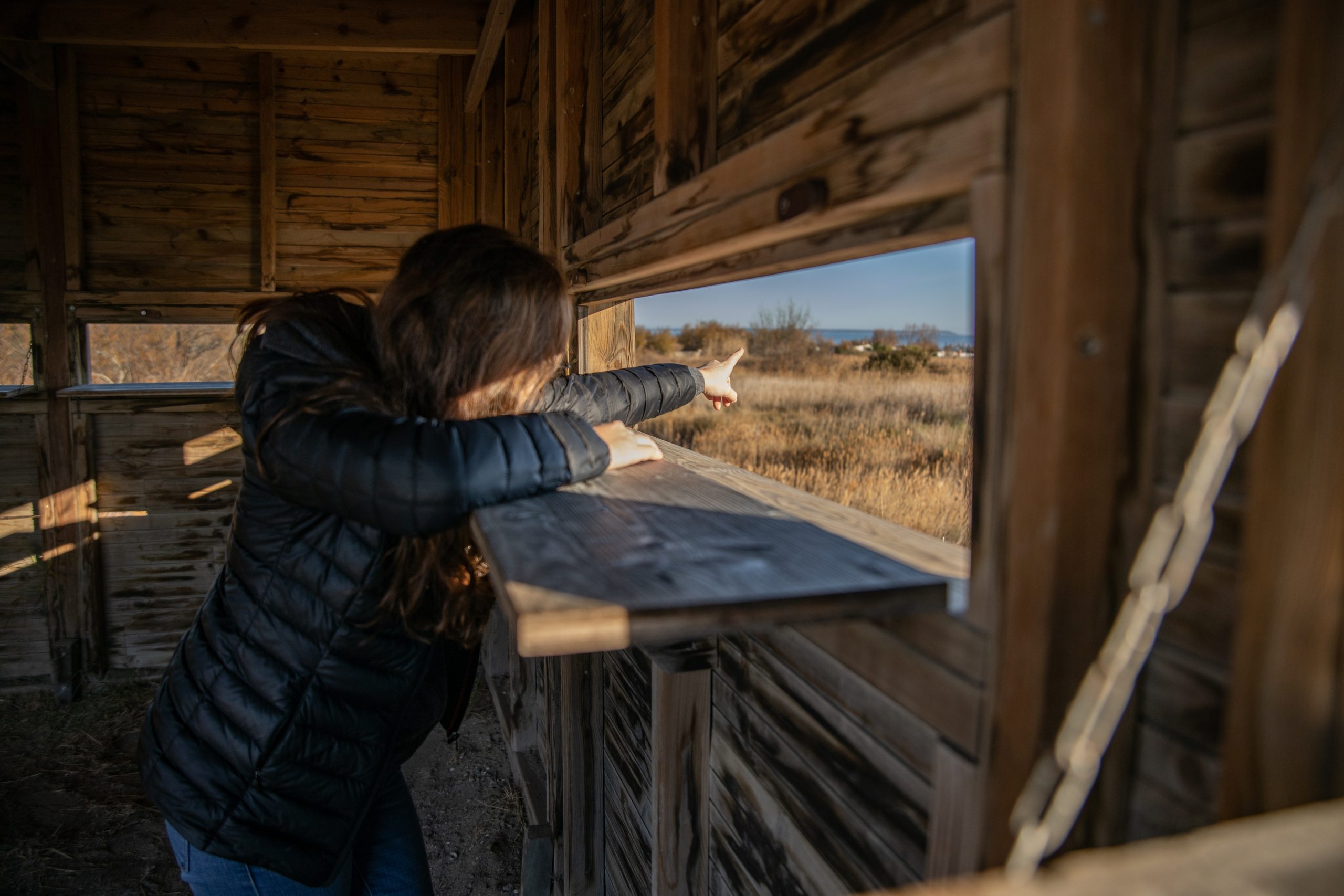 cabane d'observation la sagnette