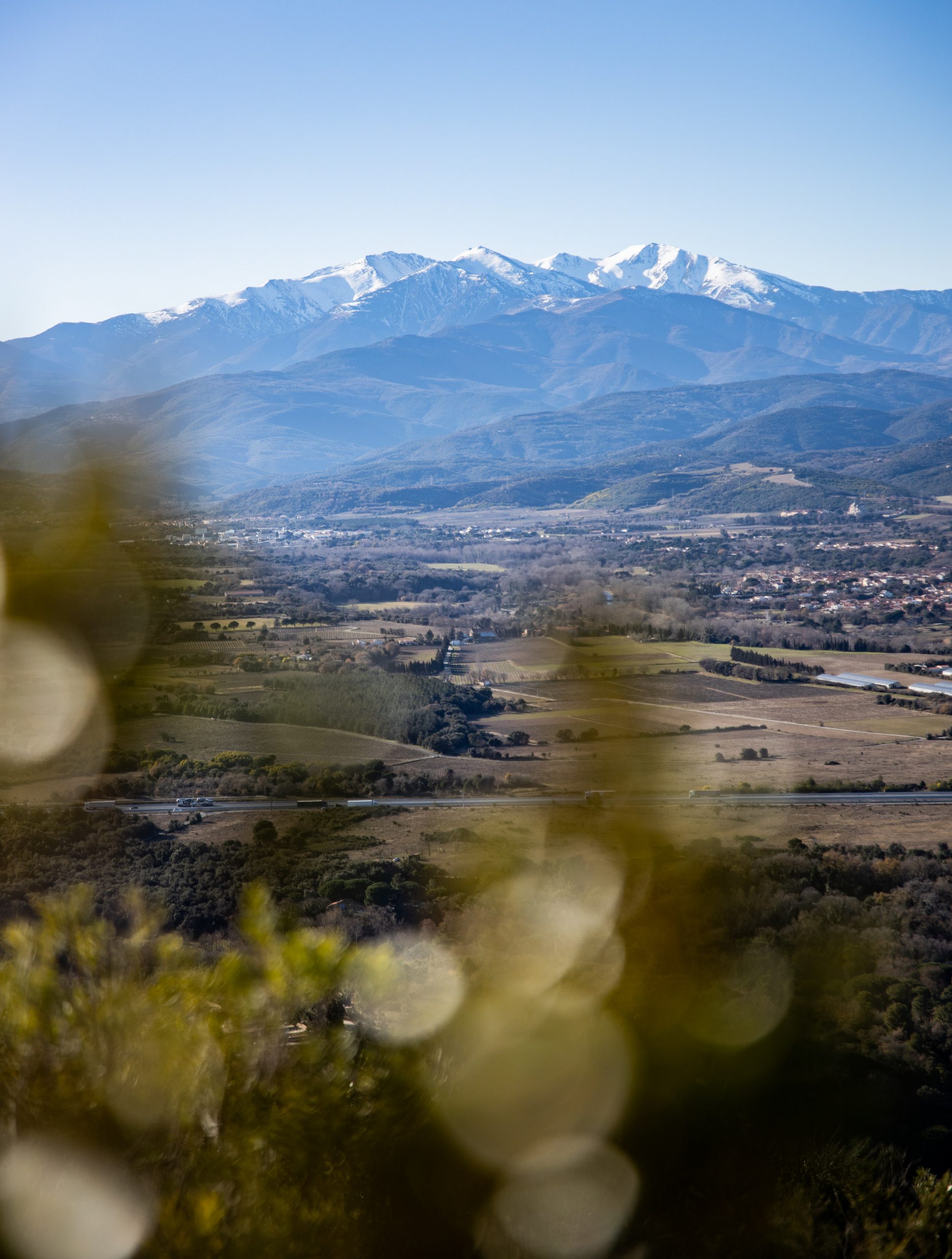 vue sur le Canigou