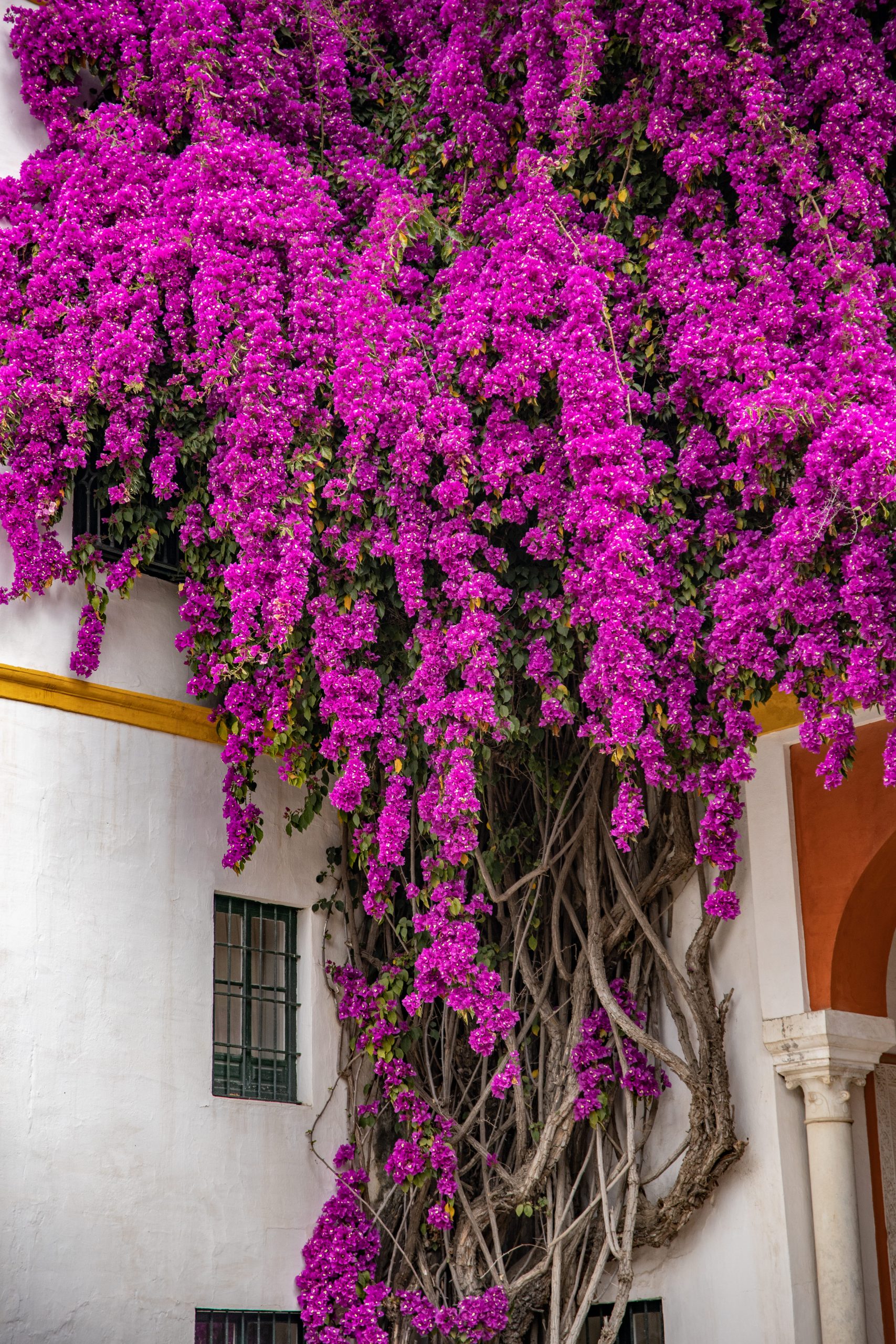 la casa de pilatos seville