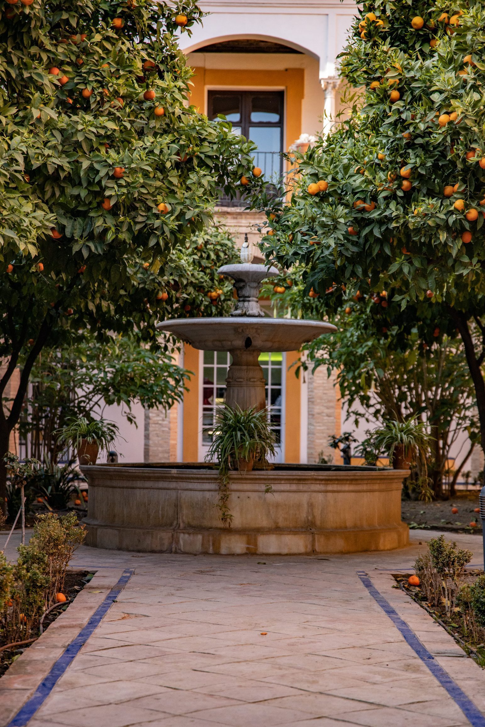 patio real alcazar