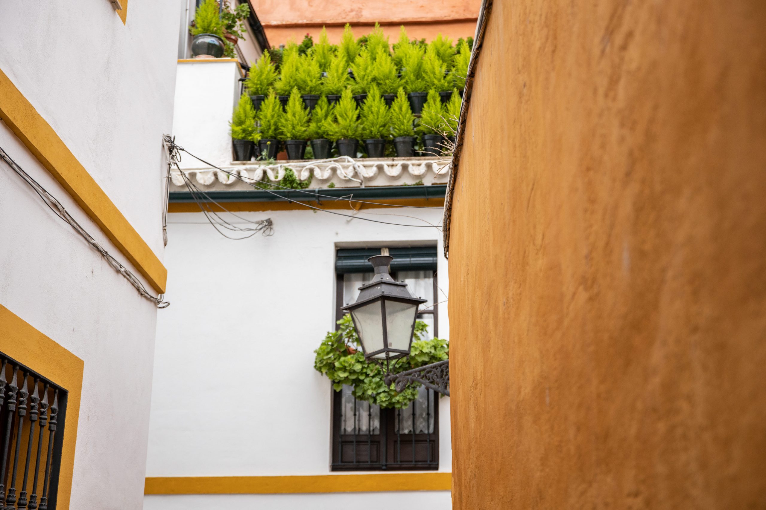 seville quartier santa cruz