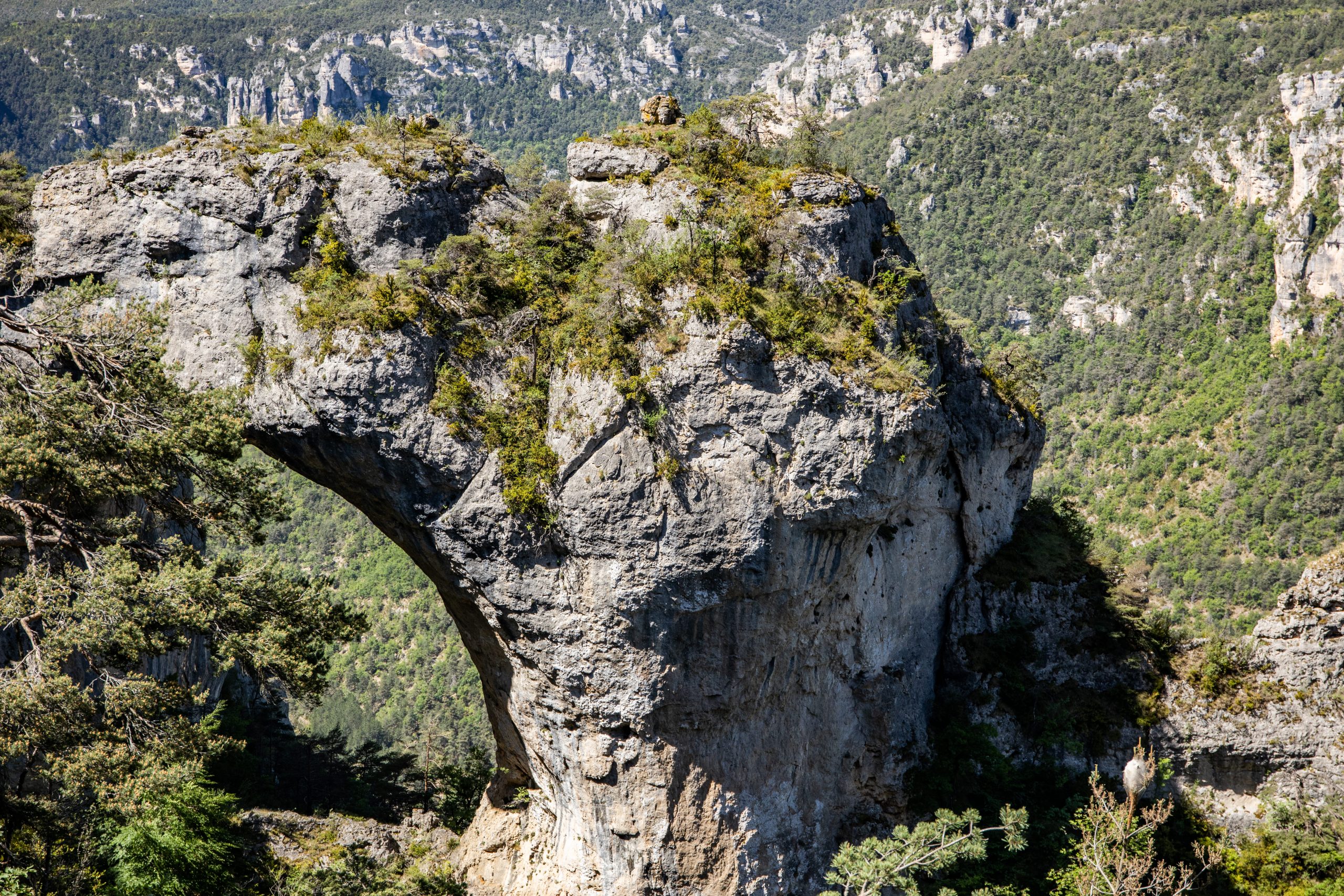 baousse del biel