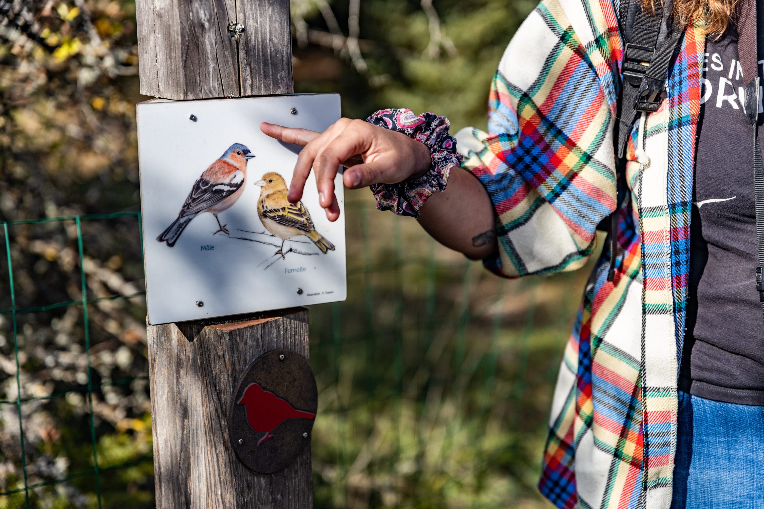balade ornithologique lozere