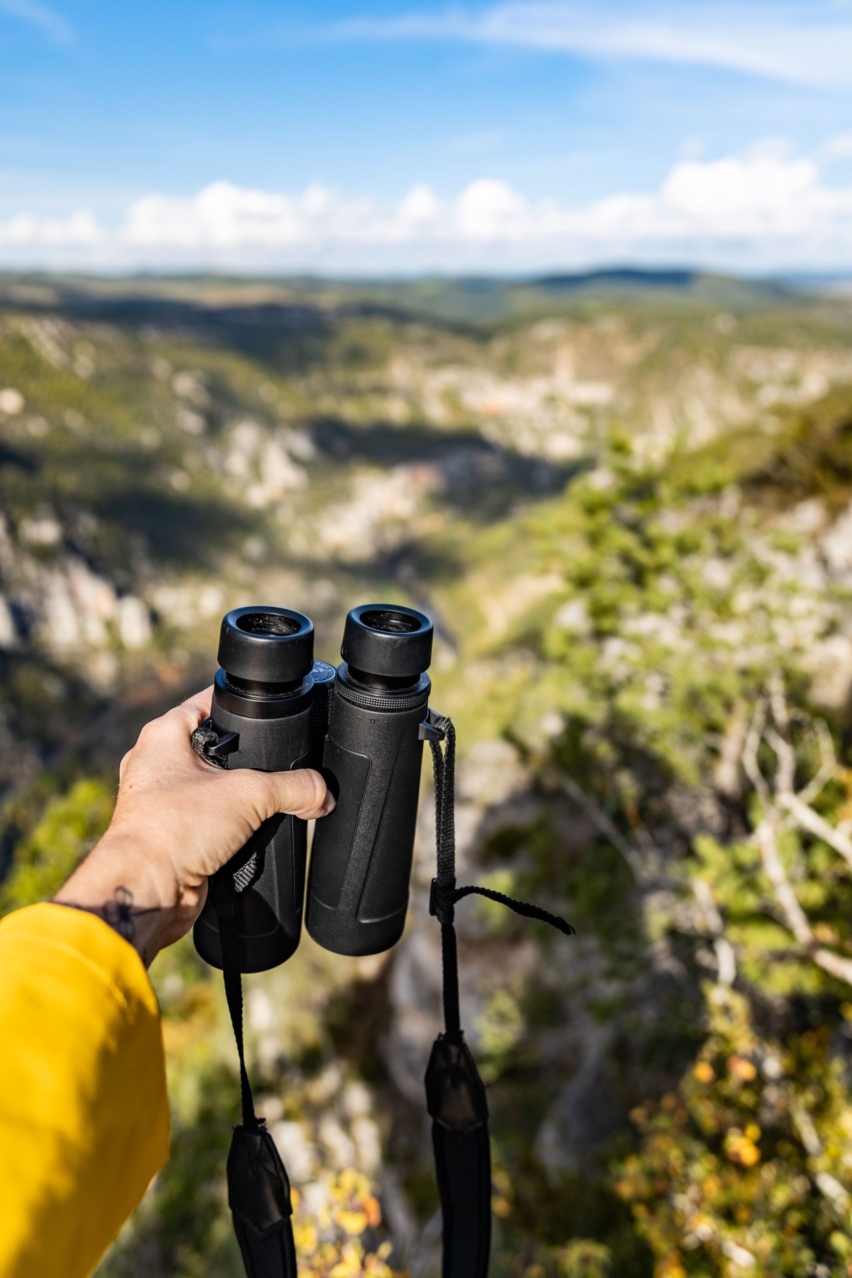 balade ornithologique dans les gorges du tarn