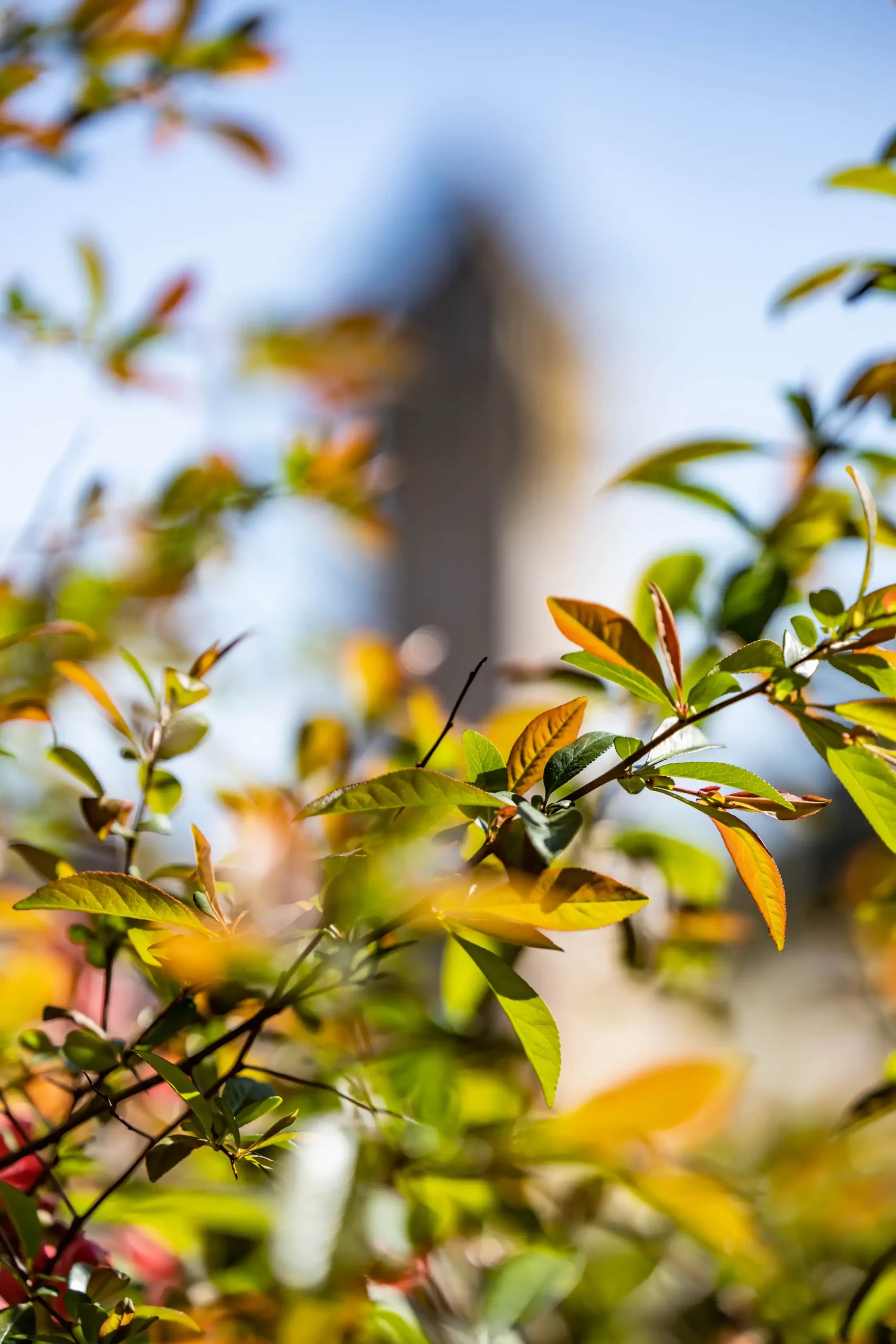 cahors nature