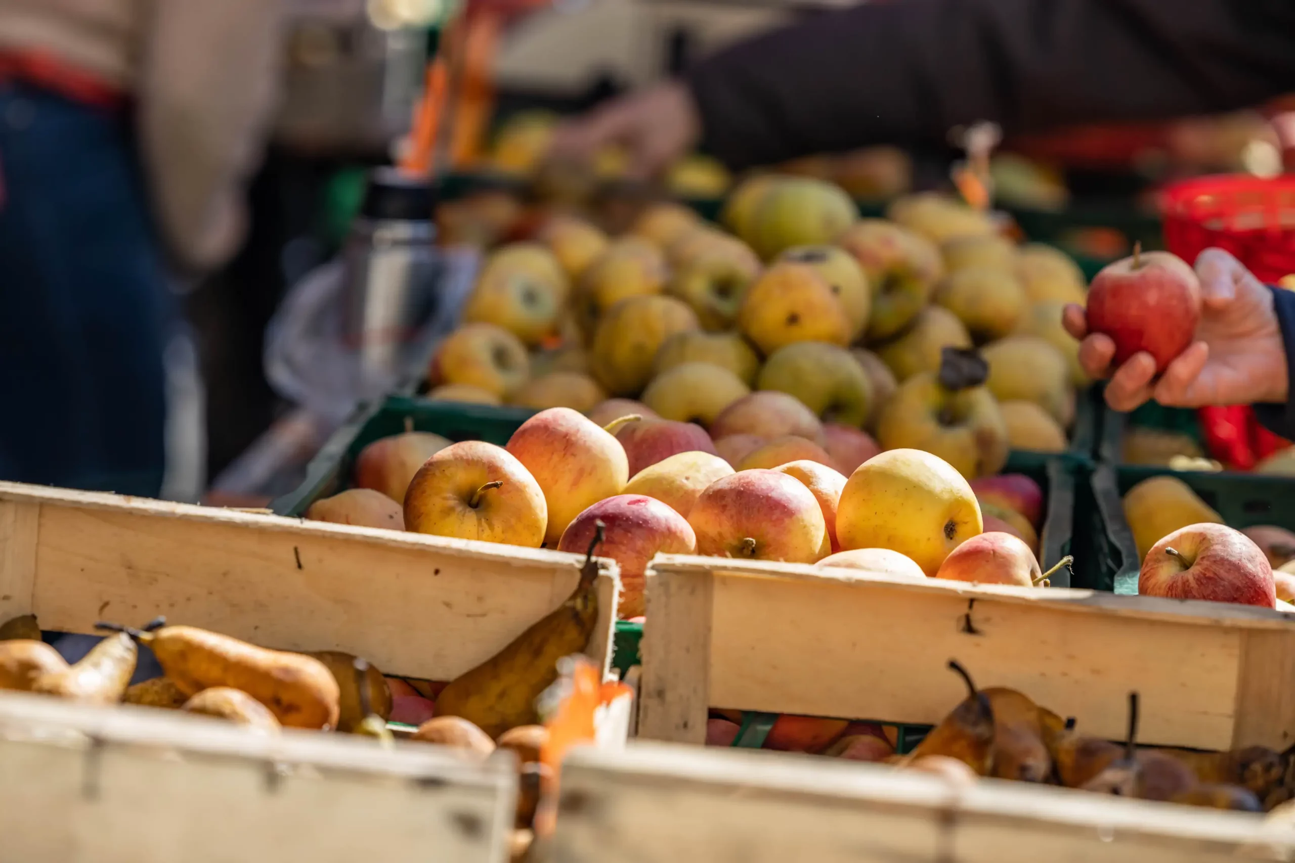 marché producteurs cahors