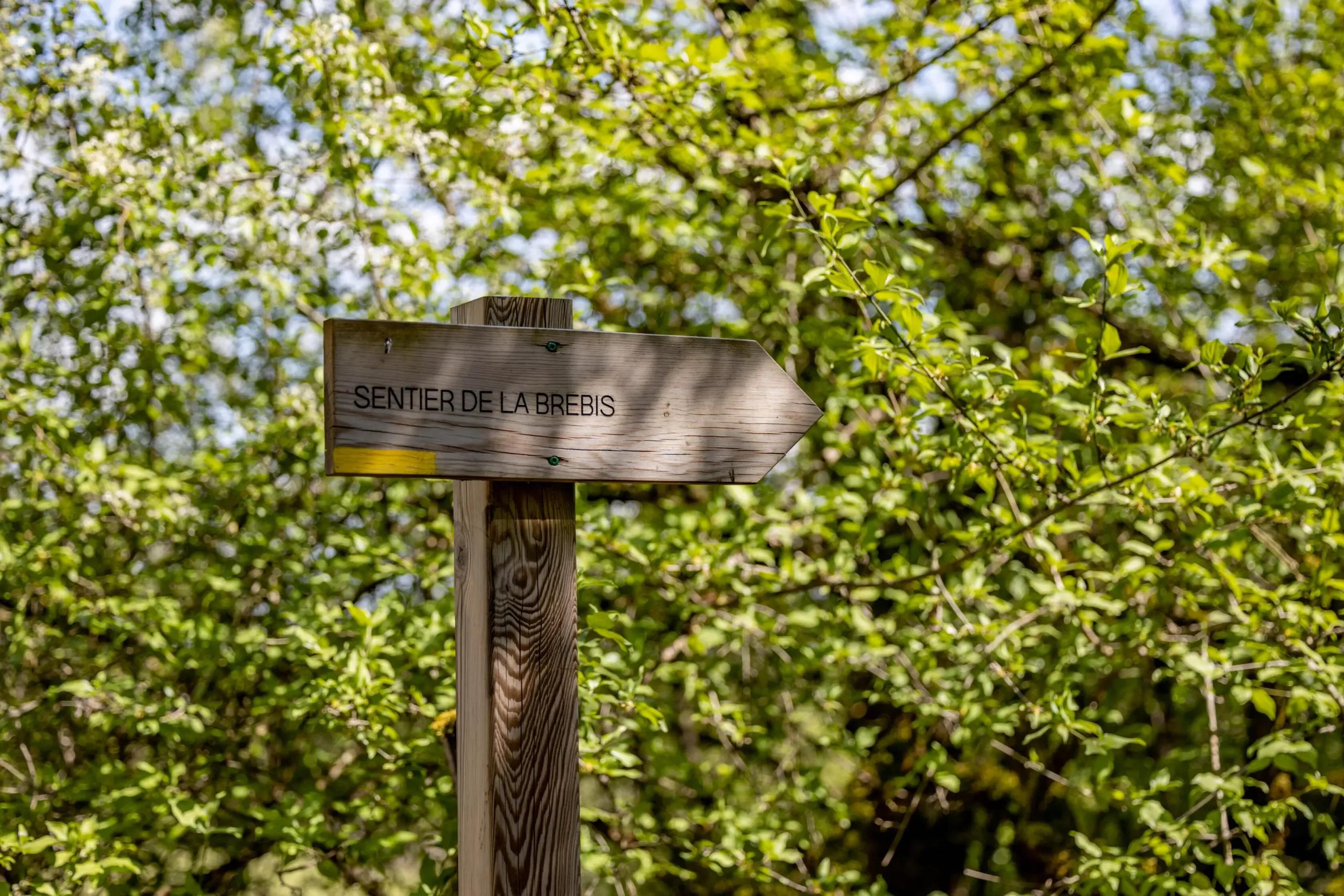 panneau sentier de la brebis