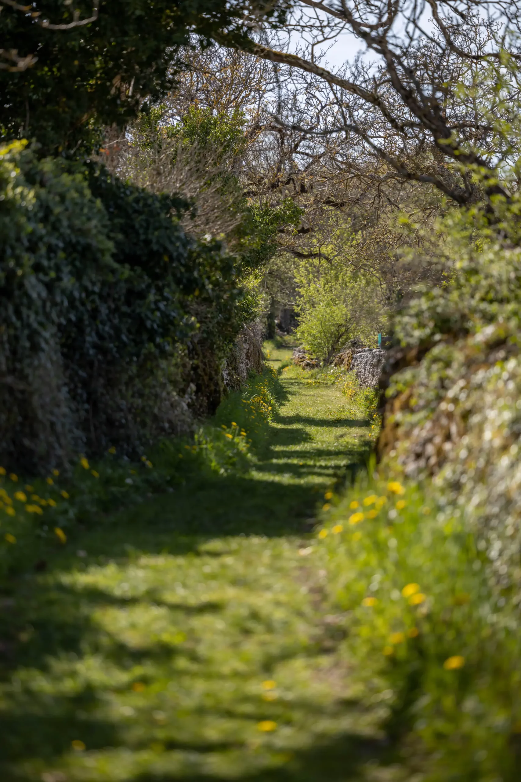 sentier de la brebis espedaillac