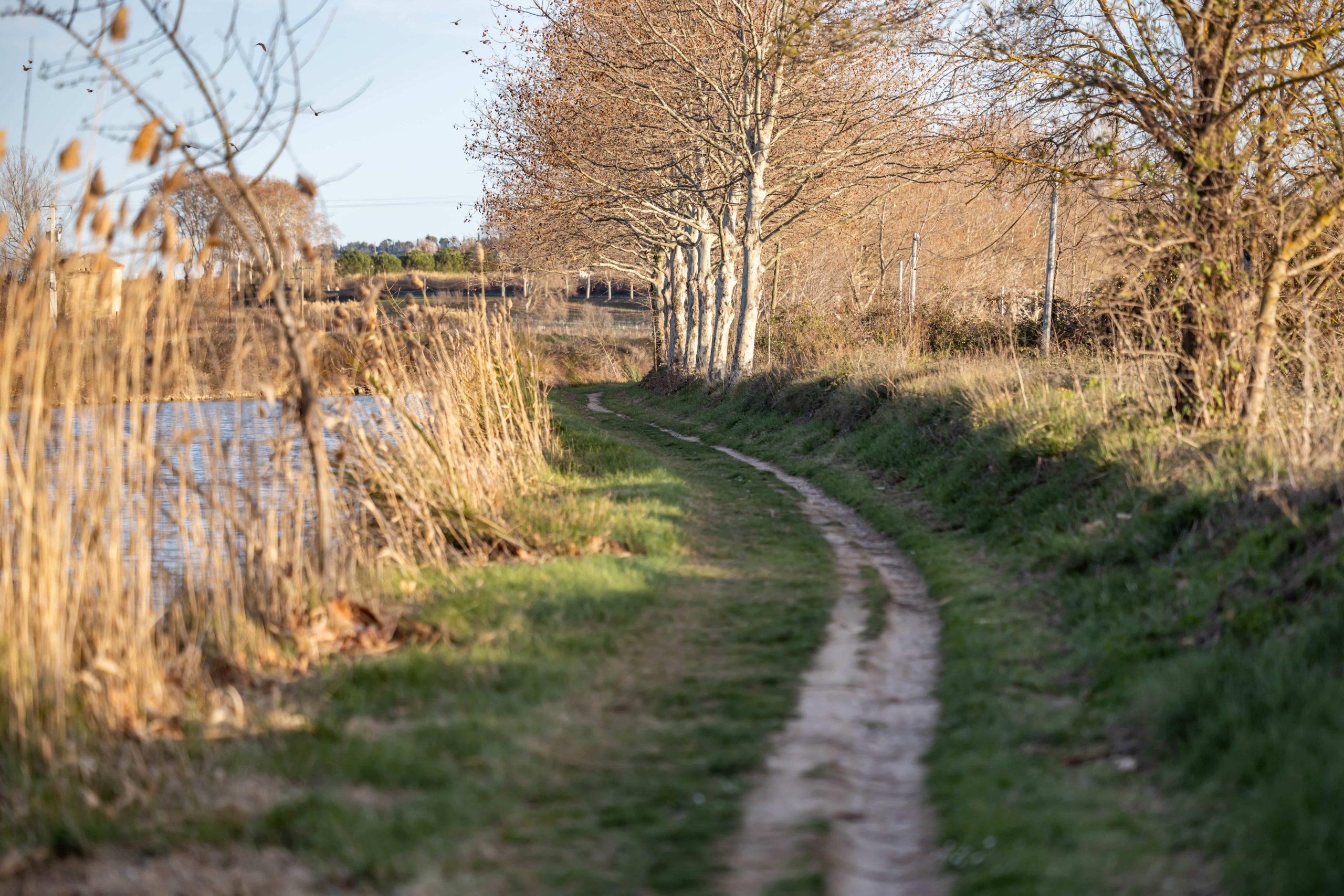 parcours vélo canal des 2 Mers à vélo