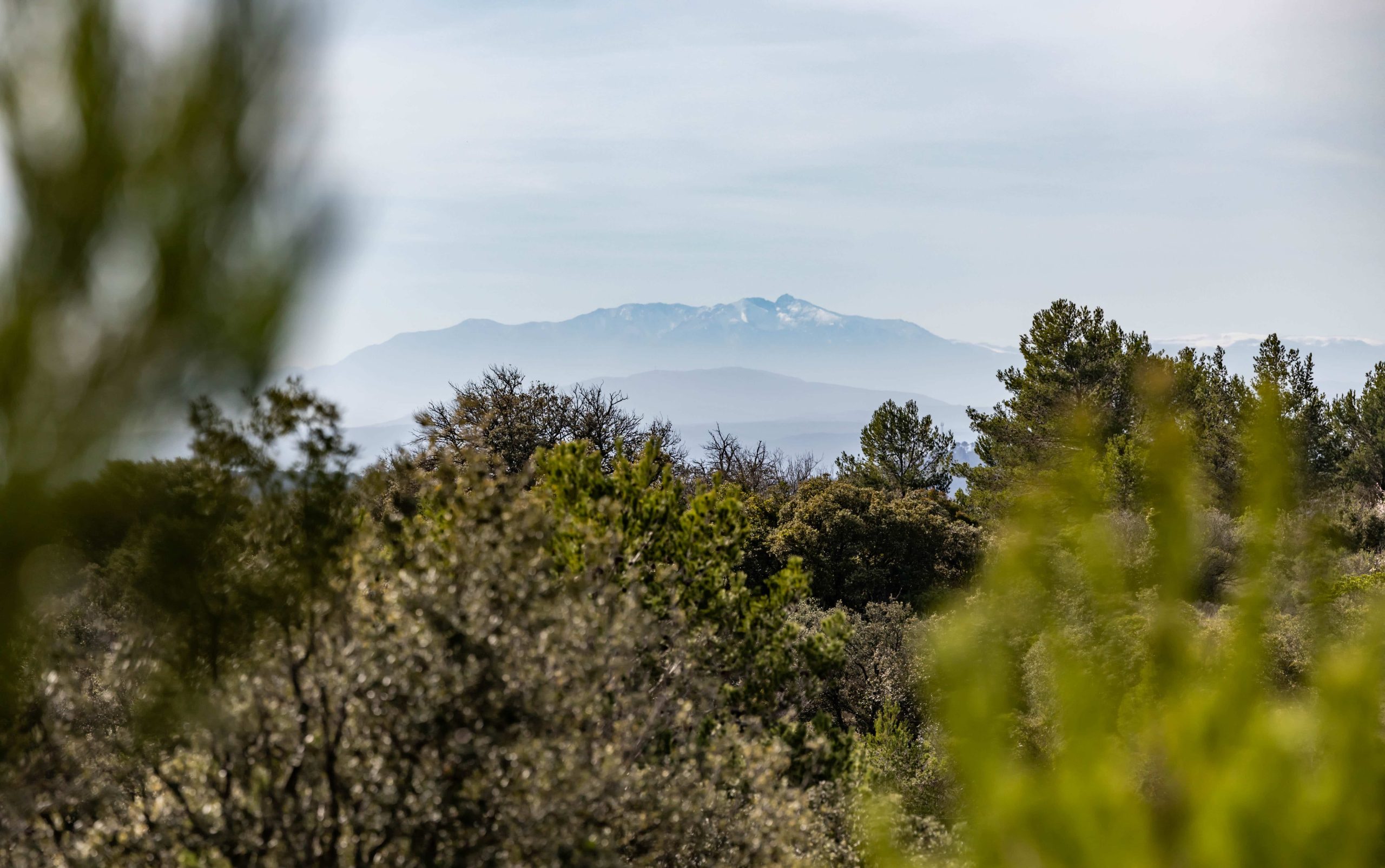 vue sur le mont canigo depuis l'itinéraire oenovelo