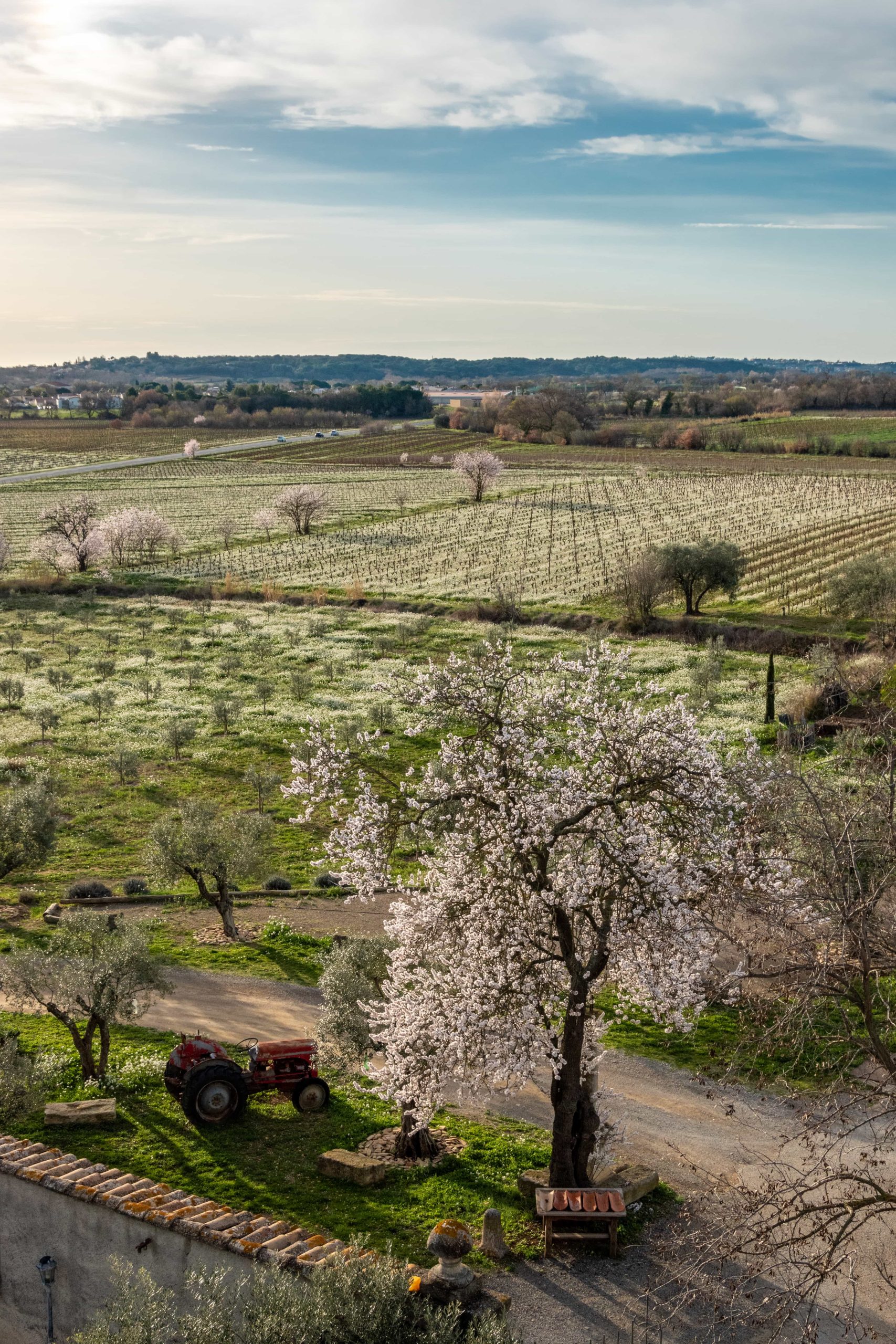 domaine sainte suzanne la folie d'amour