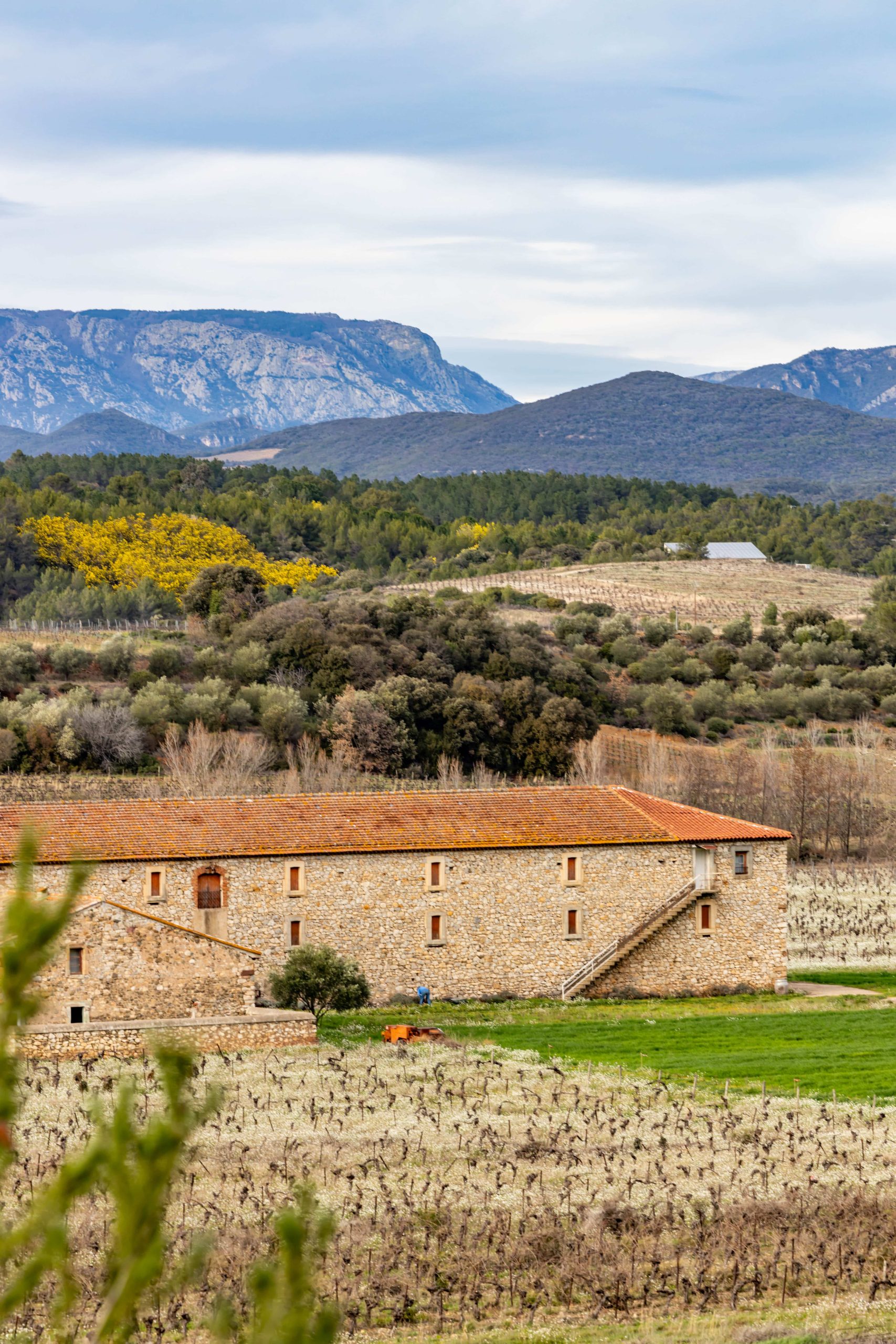 paysage cessenon sur orb