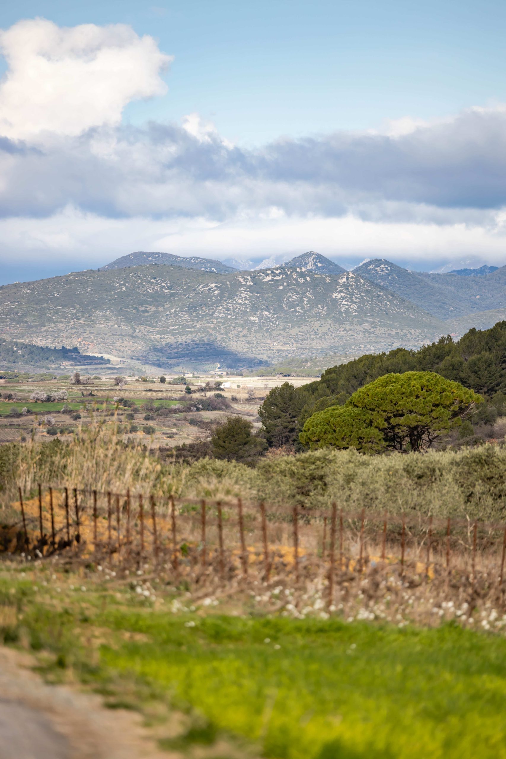 paysage hérault