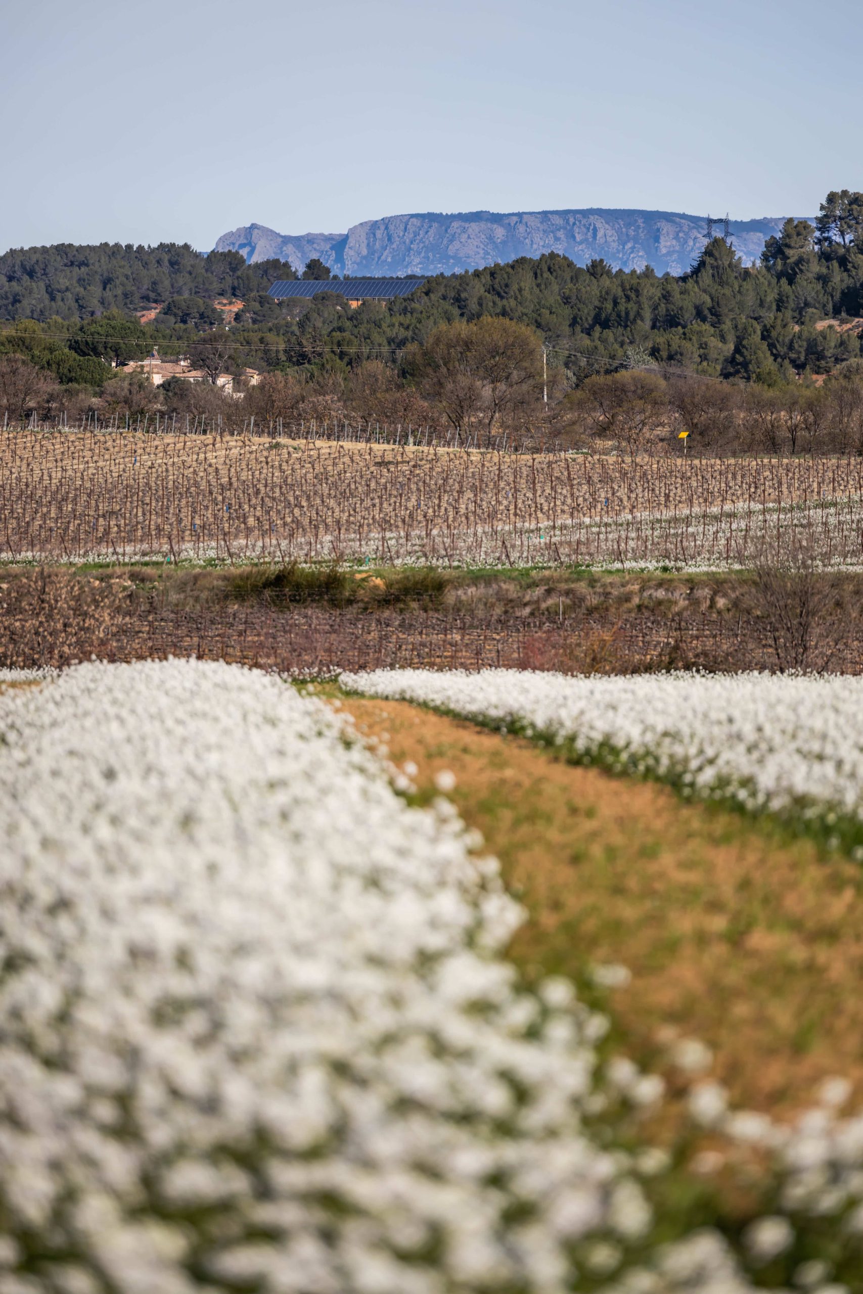 paysage itinéraire velo hérault