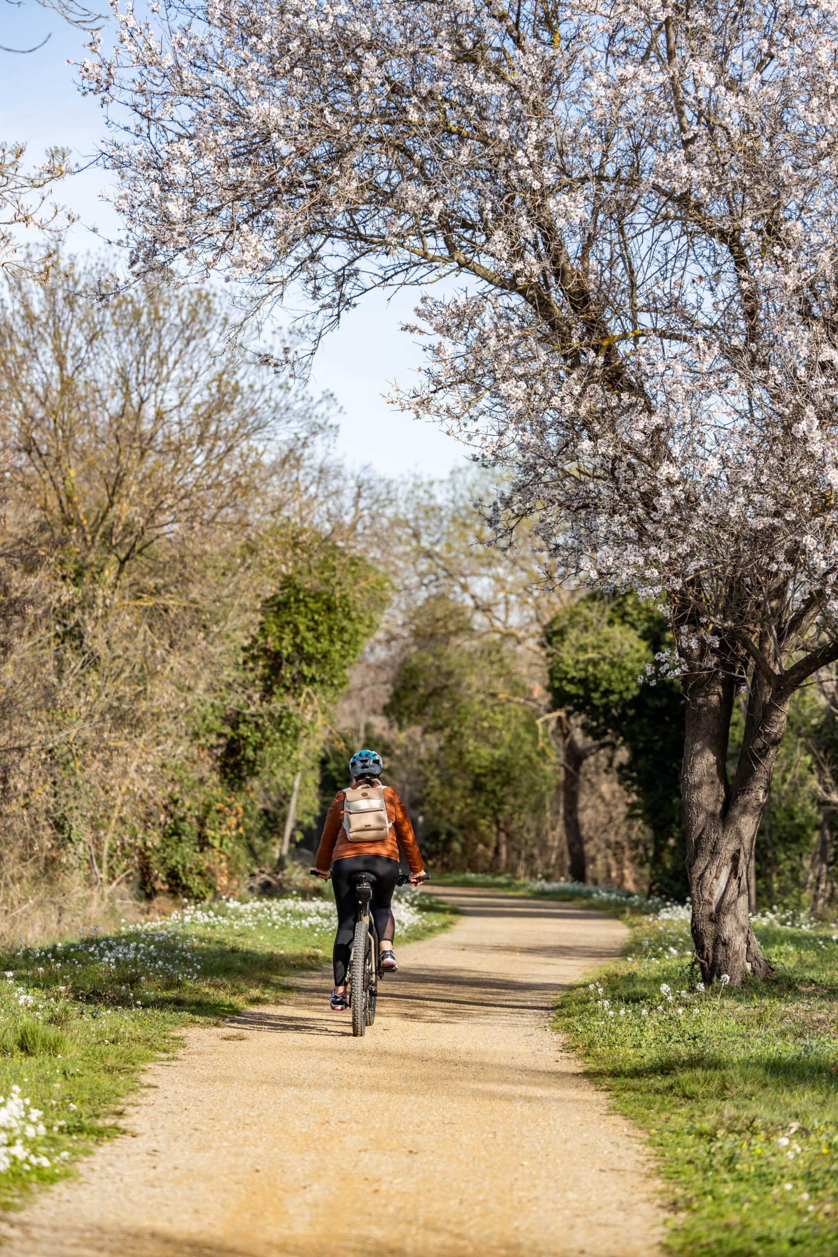 voie verte Caminarts
