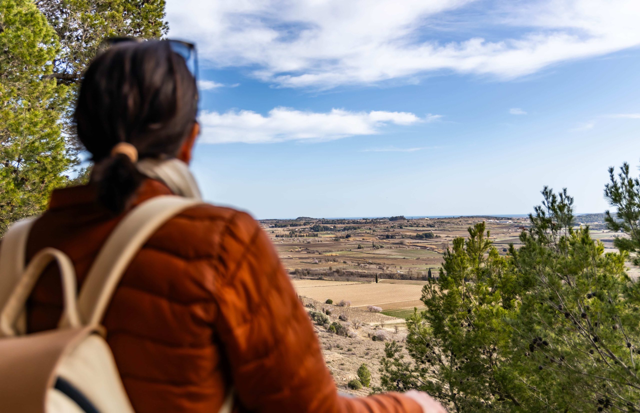 vue depuis l'oppidum d'enserune