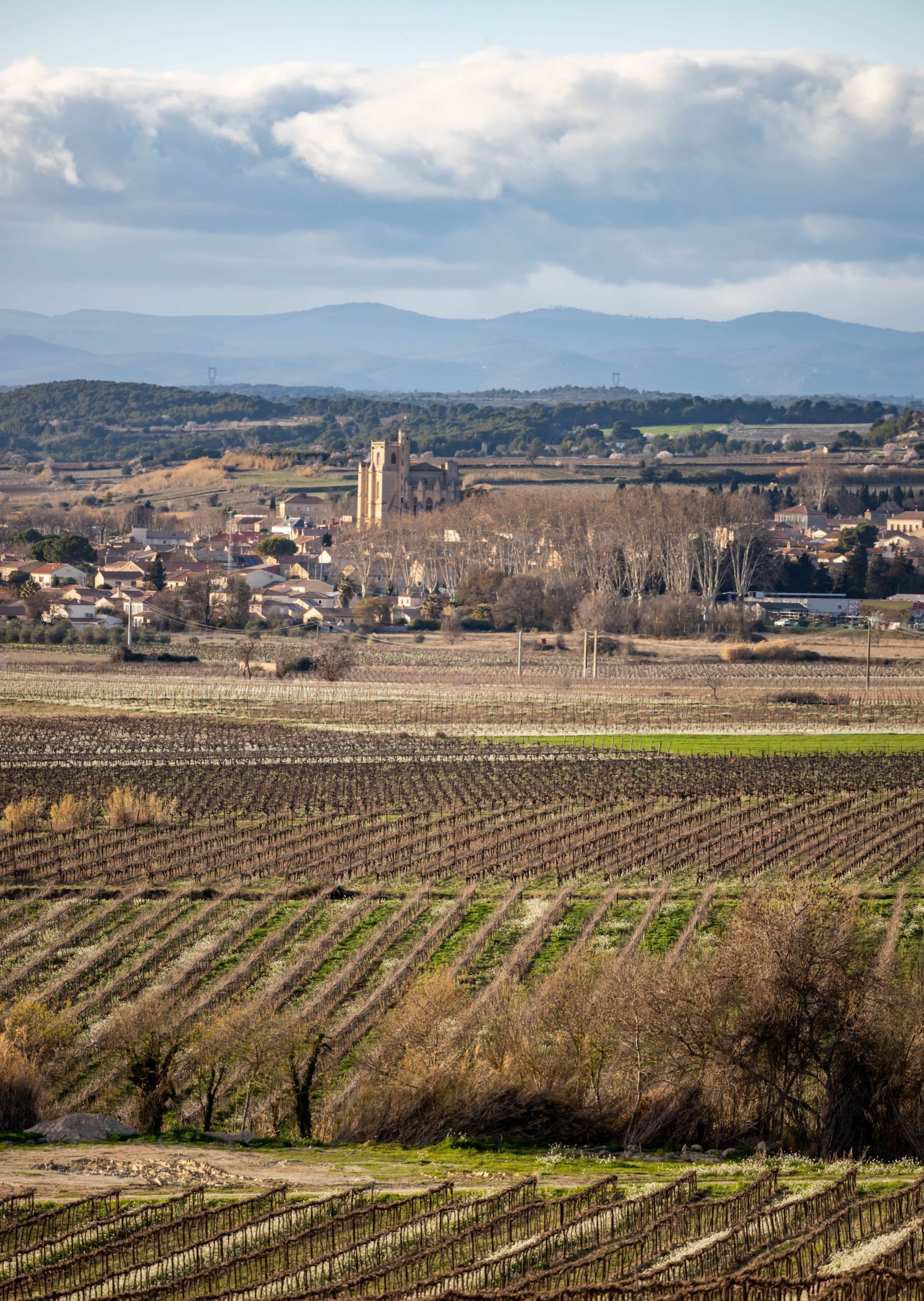 vue sur Capestang depuis le canal du midi