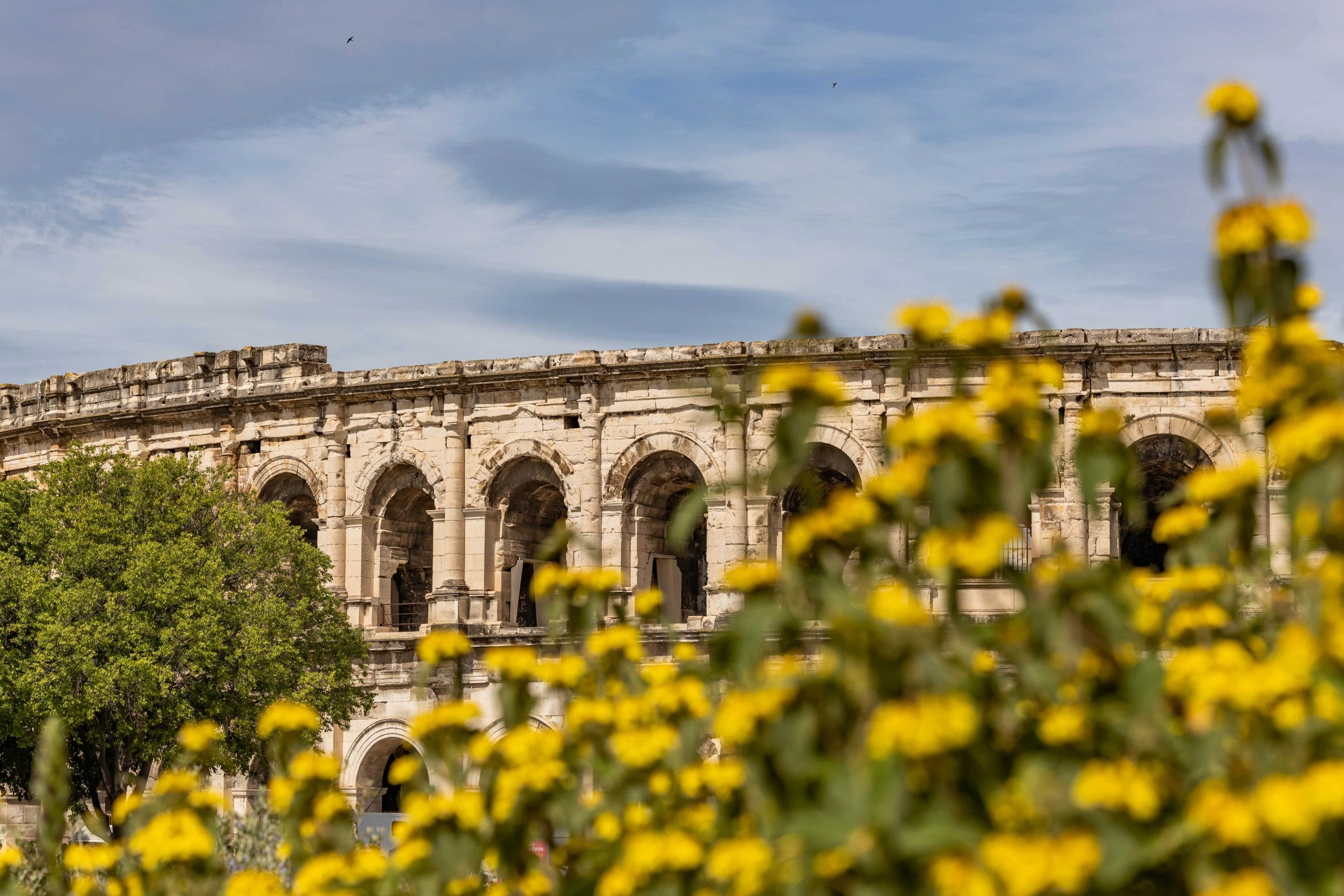arenes nimes gard