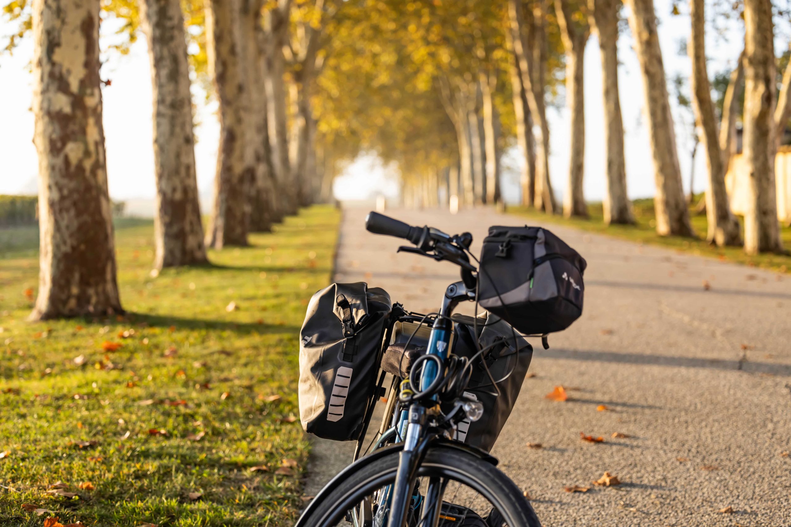canal des 2 Mers à vélo
