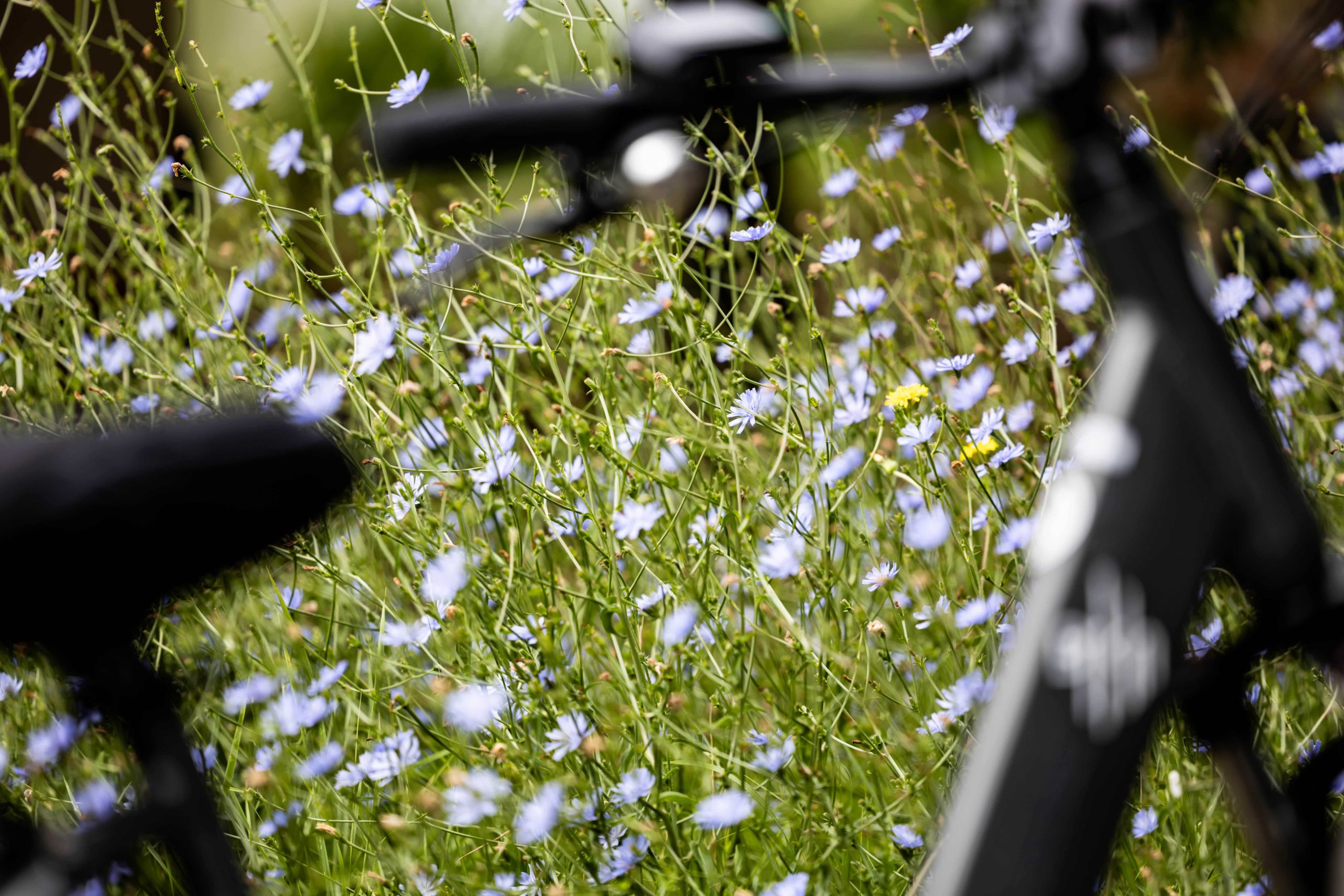 lot et garonne velo itinéraire