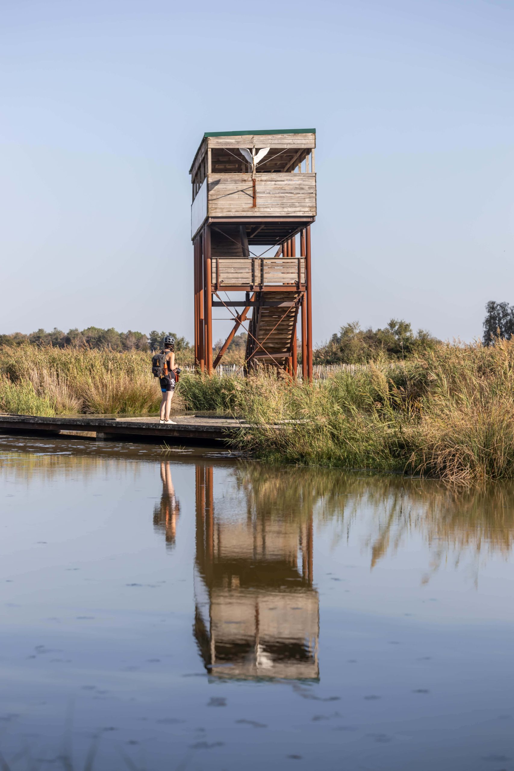 terres d'oiseaux gironde