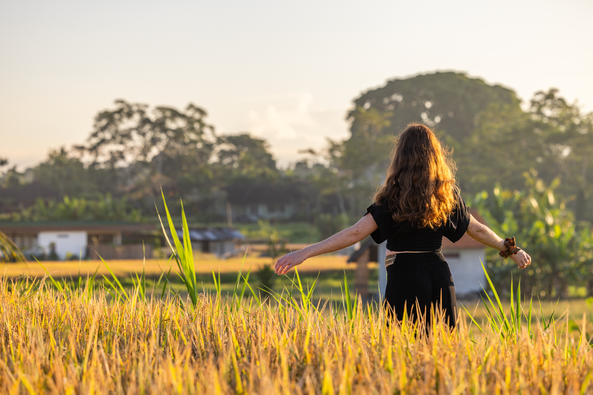 Ubud riziere lever de soleil