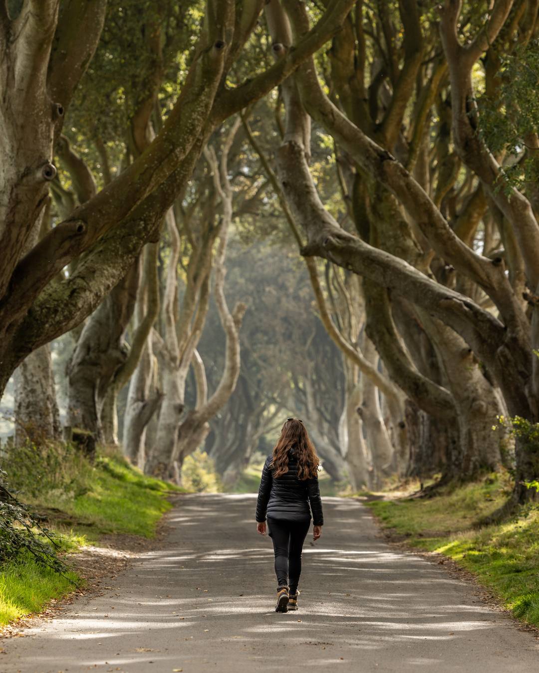 The Dark Hedges kikimagtravel