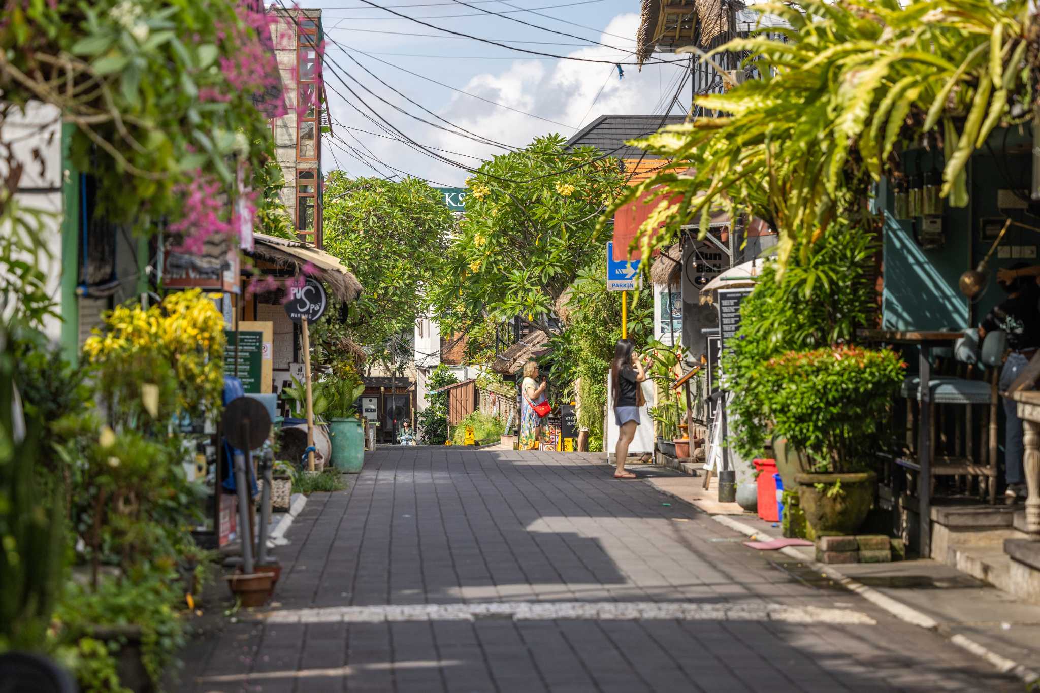 ruelle ubud