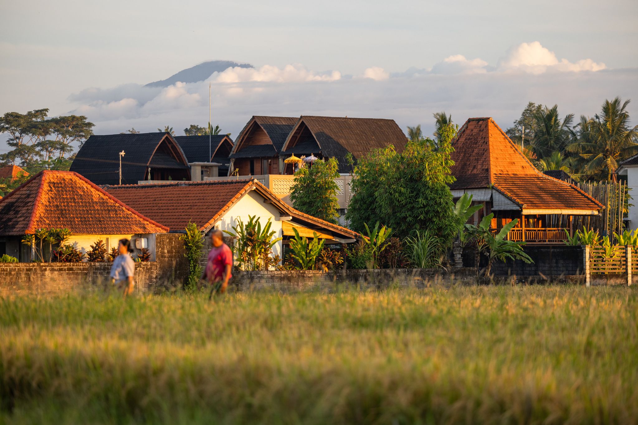 Ubud au lever du soleil