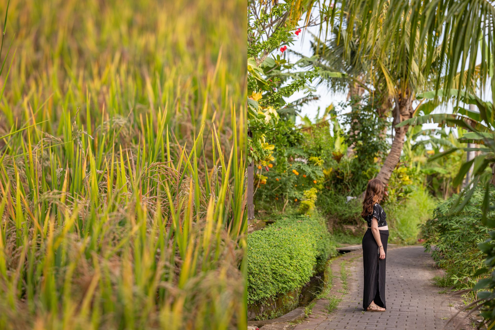 ubud rizieres et ruelles
